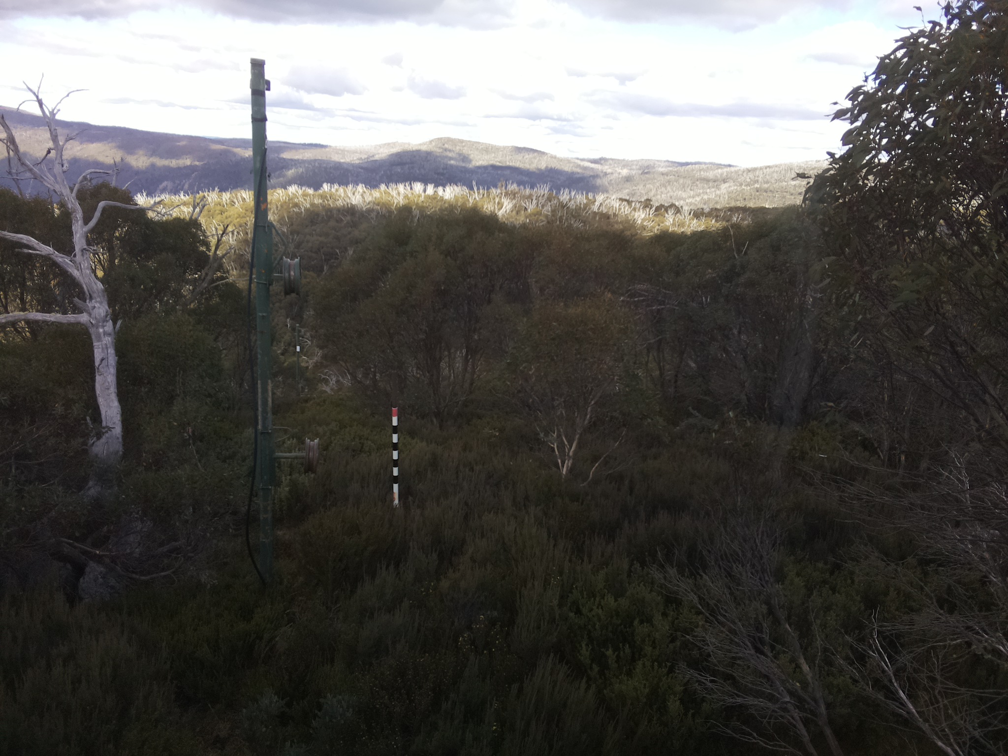 Bogong Web Cam 1:20pm Monday 12th of May 2025