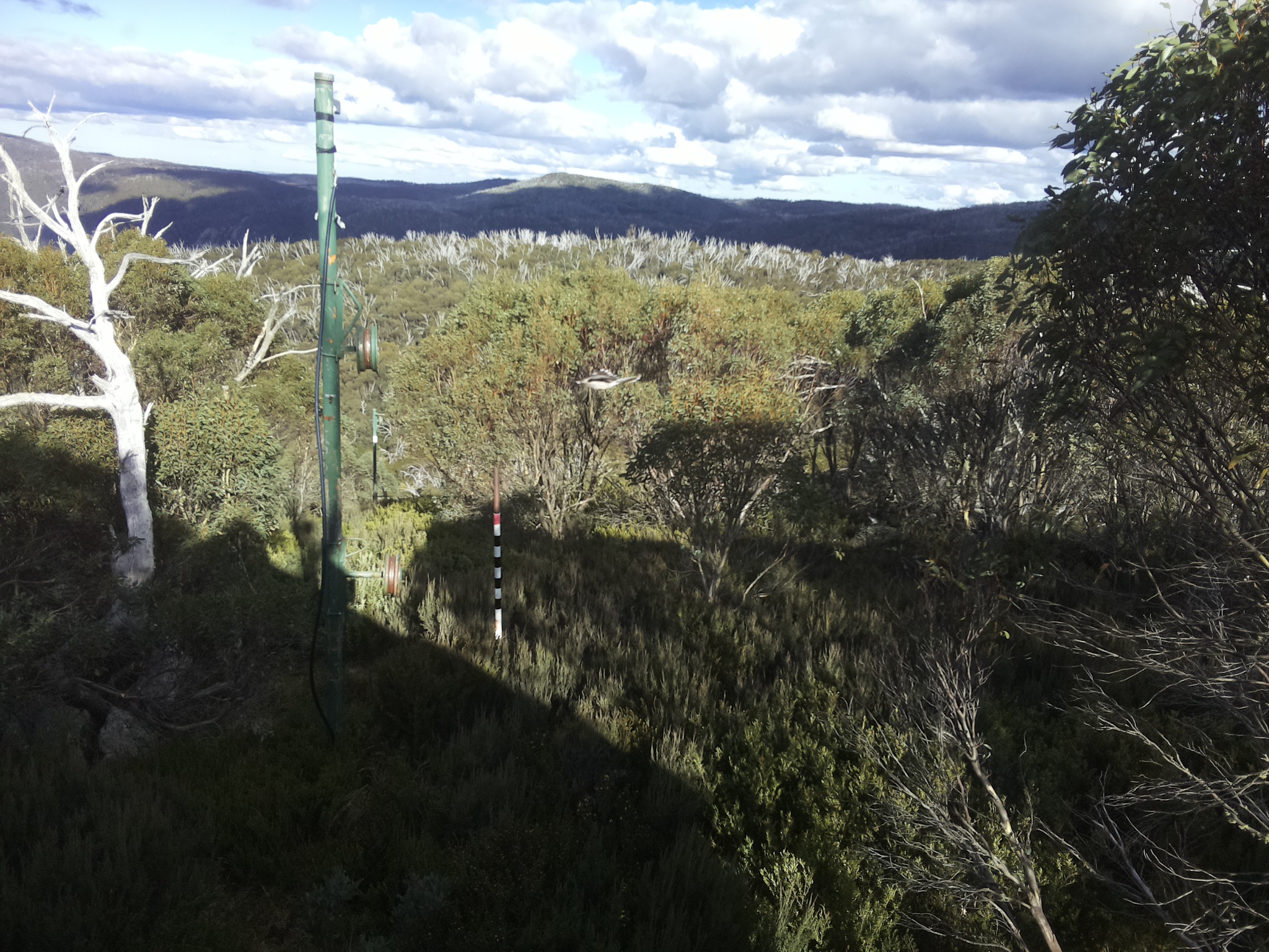 Bogong Web Cam 2:40pm Monday 12th of May 2025