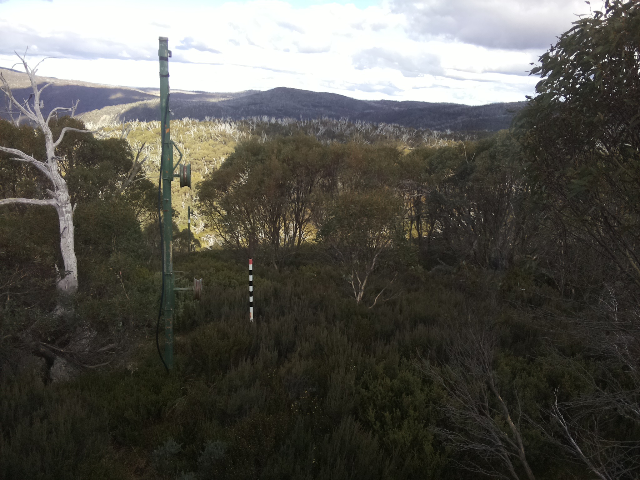 Bogong Web Cam 2:50pm Monday 12th of May 2025