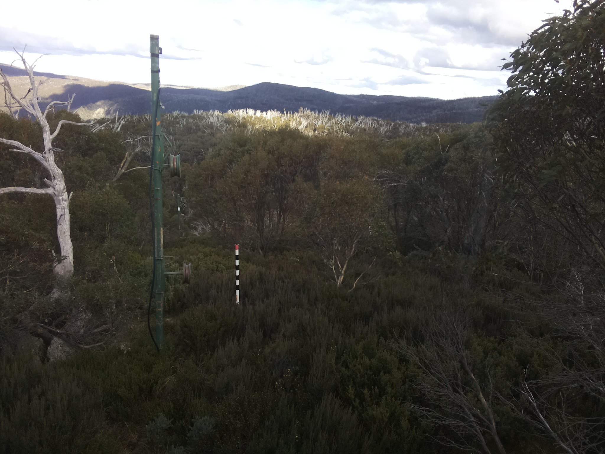 Bogong Web Cam 3:00pm Monday 12th of May 2025
