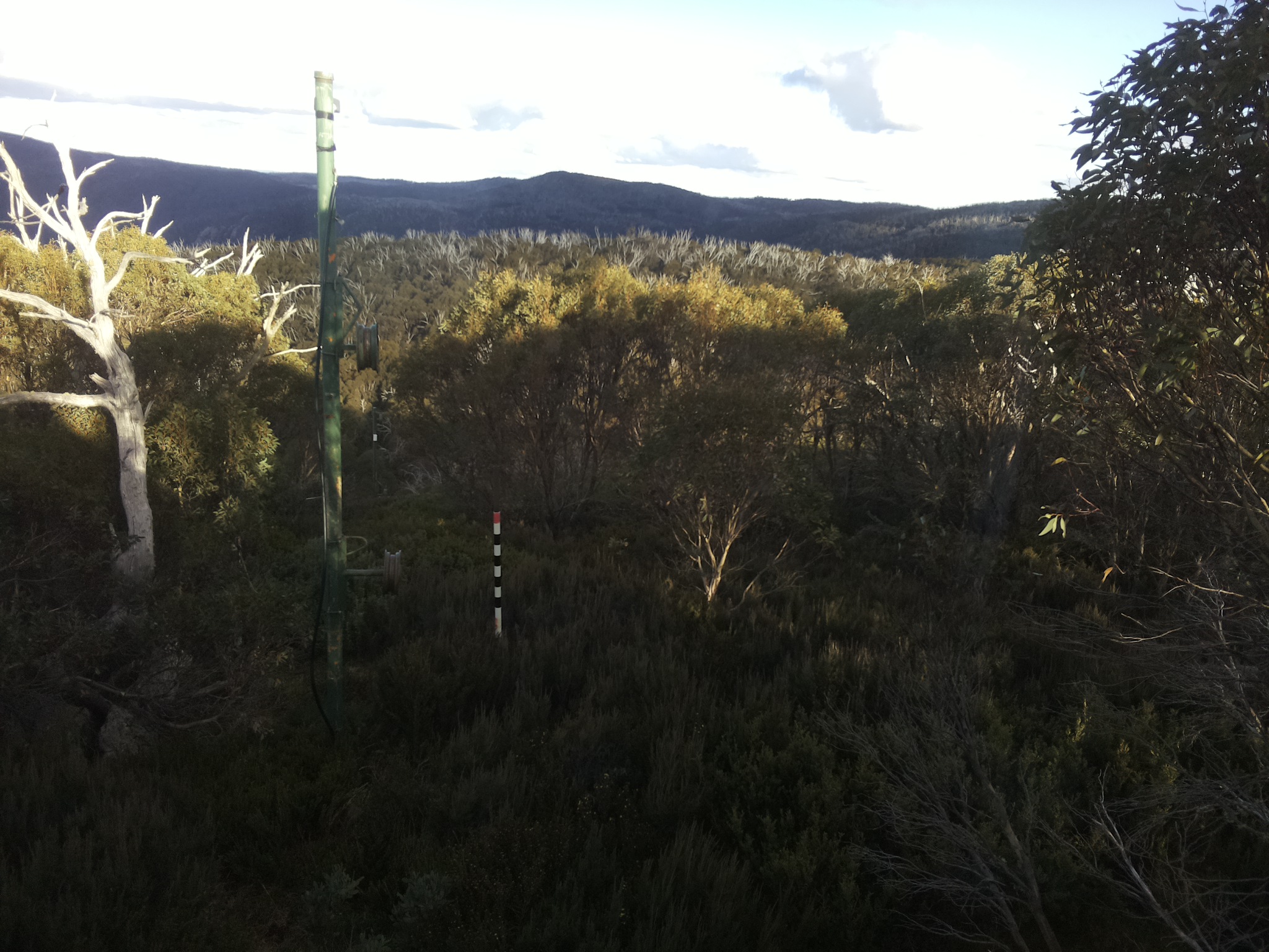 Bogong Web Cam 4:00pm Monday 12th of May 2025
