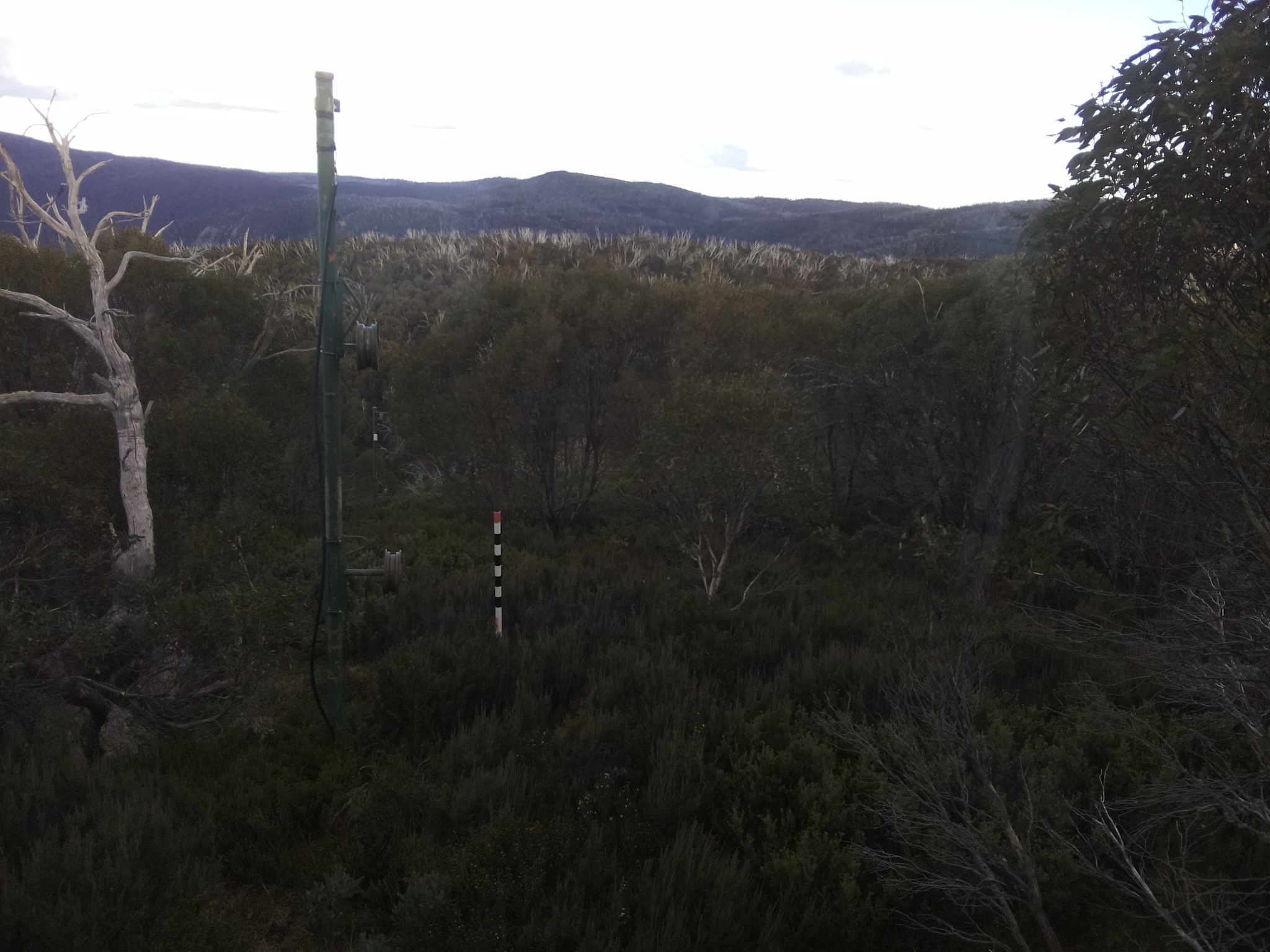 Bogong Web Cam 4:10pm Monday 12th of May 2025