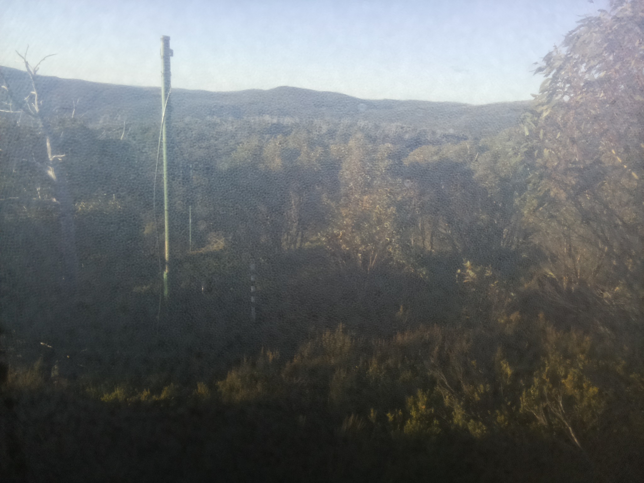 Bogong Web Cam 8:00am Tuesday 13th of May 2025