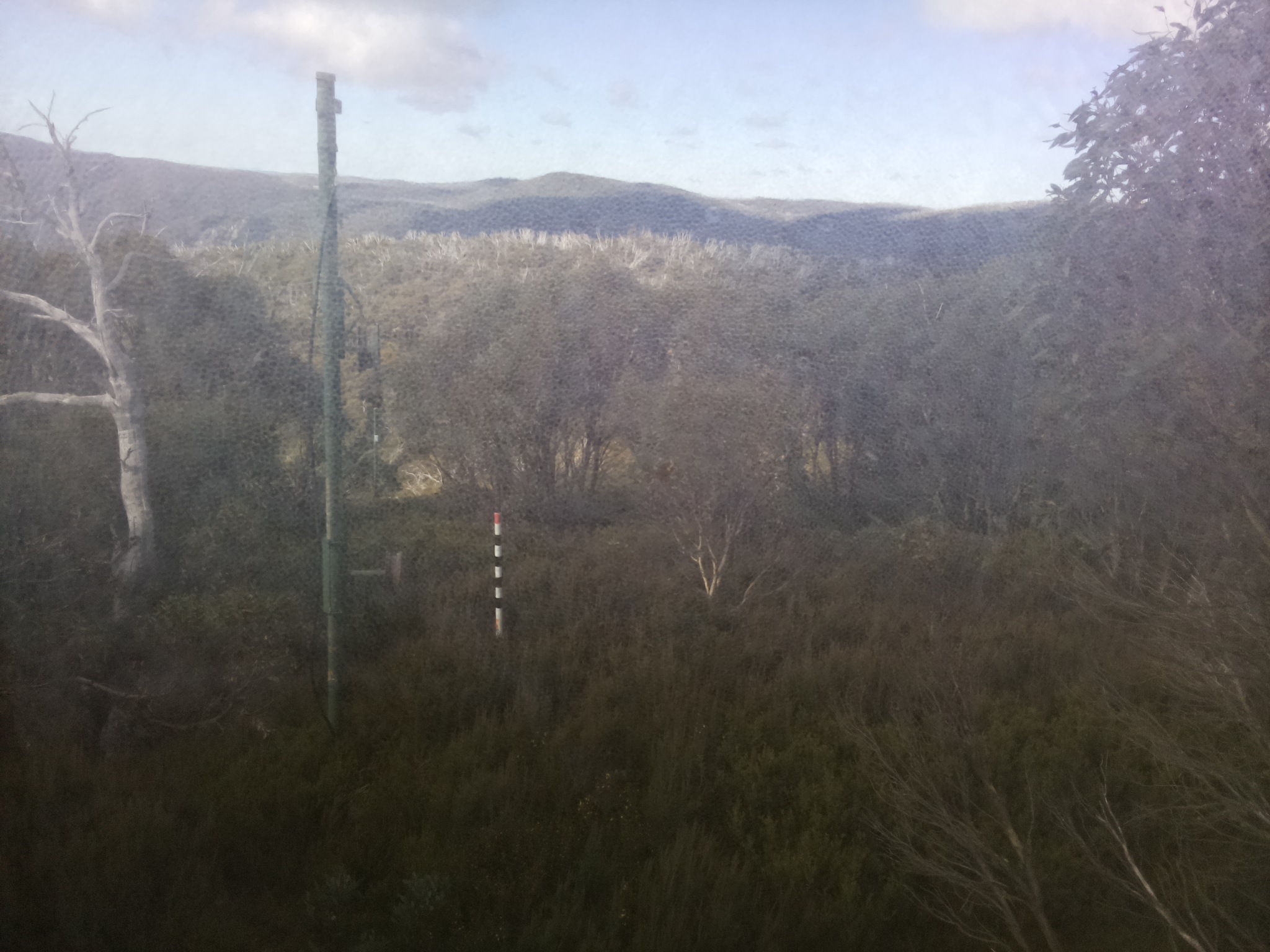 Bogong Web Cam 10:20am Tuesday 13th of May 2025