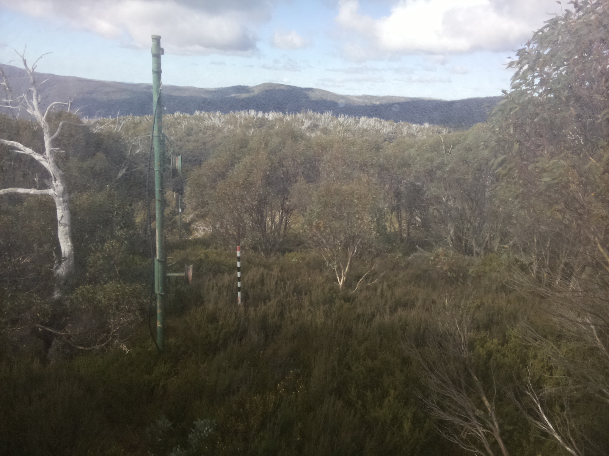 Bogong Web Cam 10:40am Tuesday 13th of May 2025