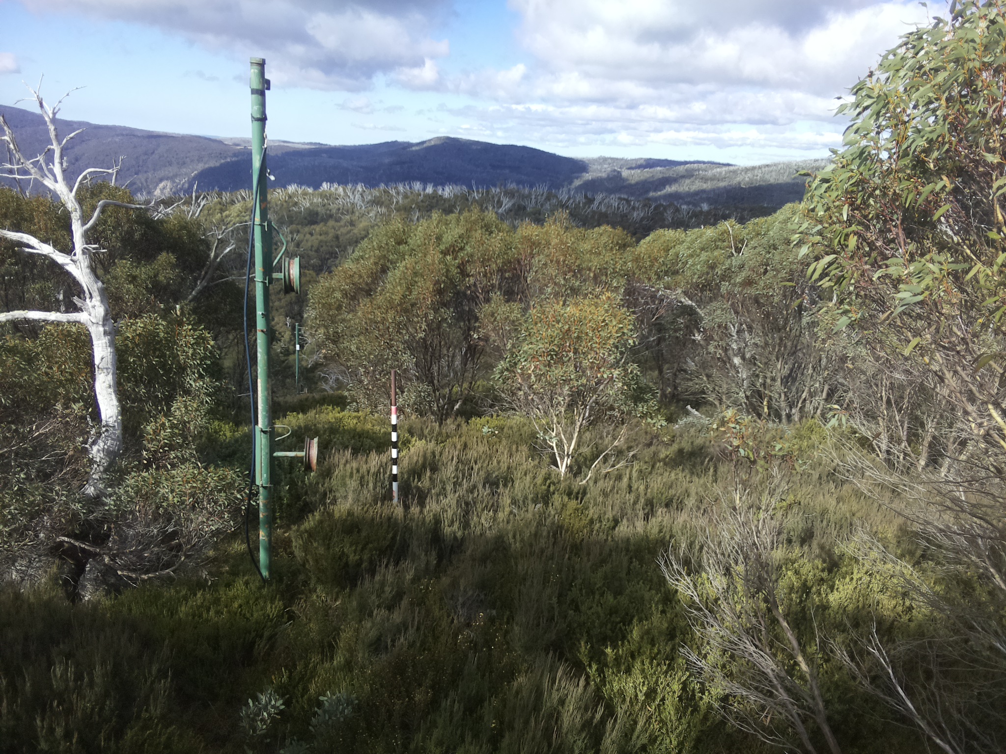 Bogong Web Cam 11:10am Tuesday 13th of May 2025