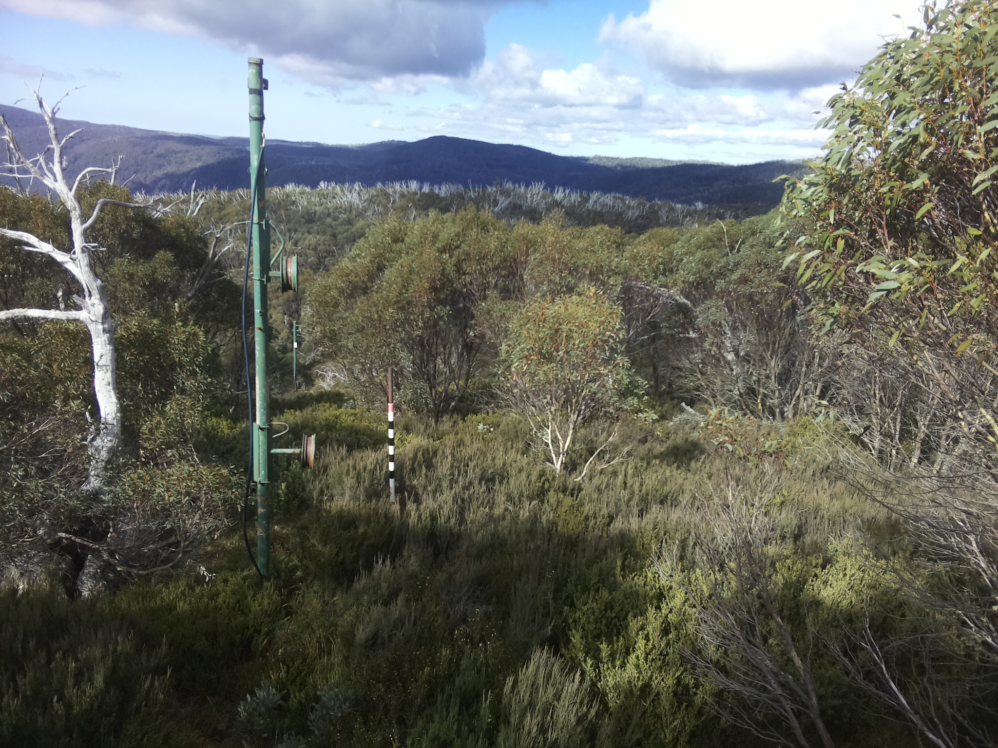 Bogong Web Cam 11:20am Tuesday 13th of May 2025