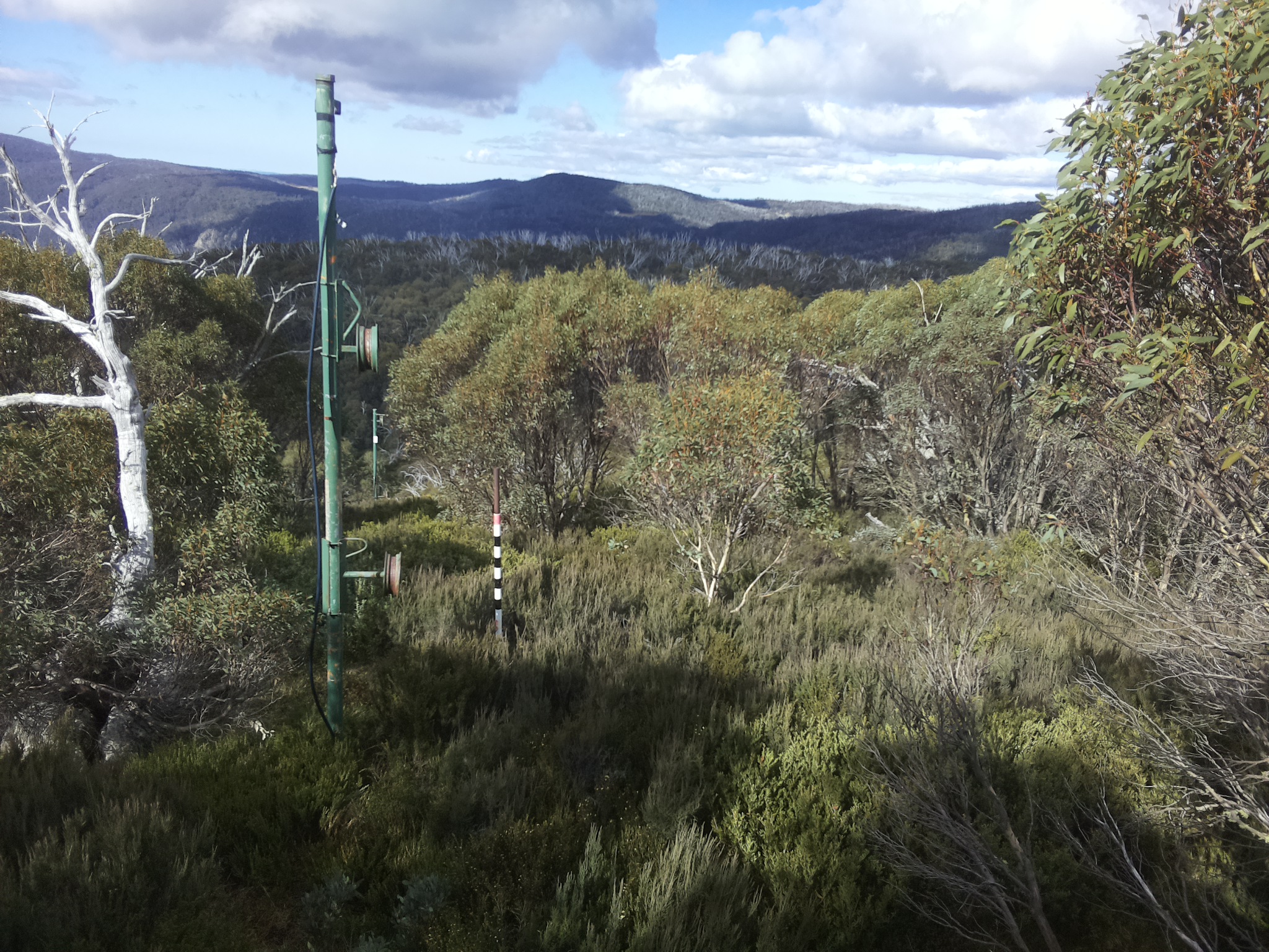 Bogong Web Cam 11:30am Tuesday 13th of May 2025