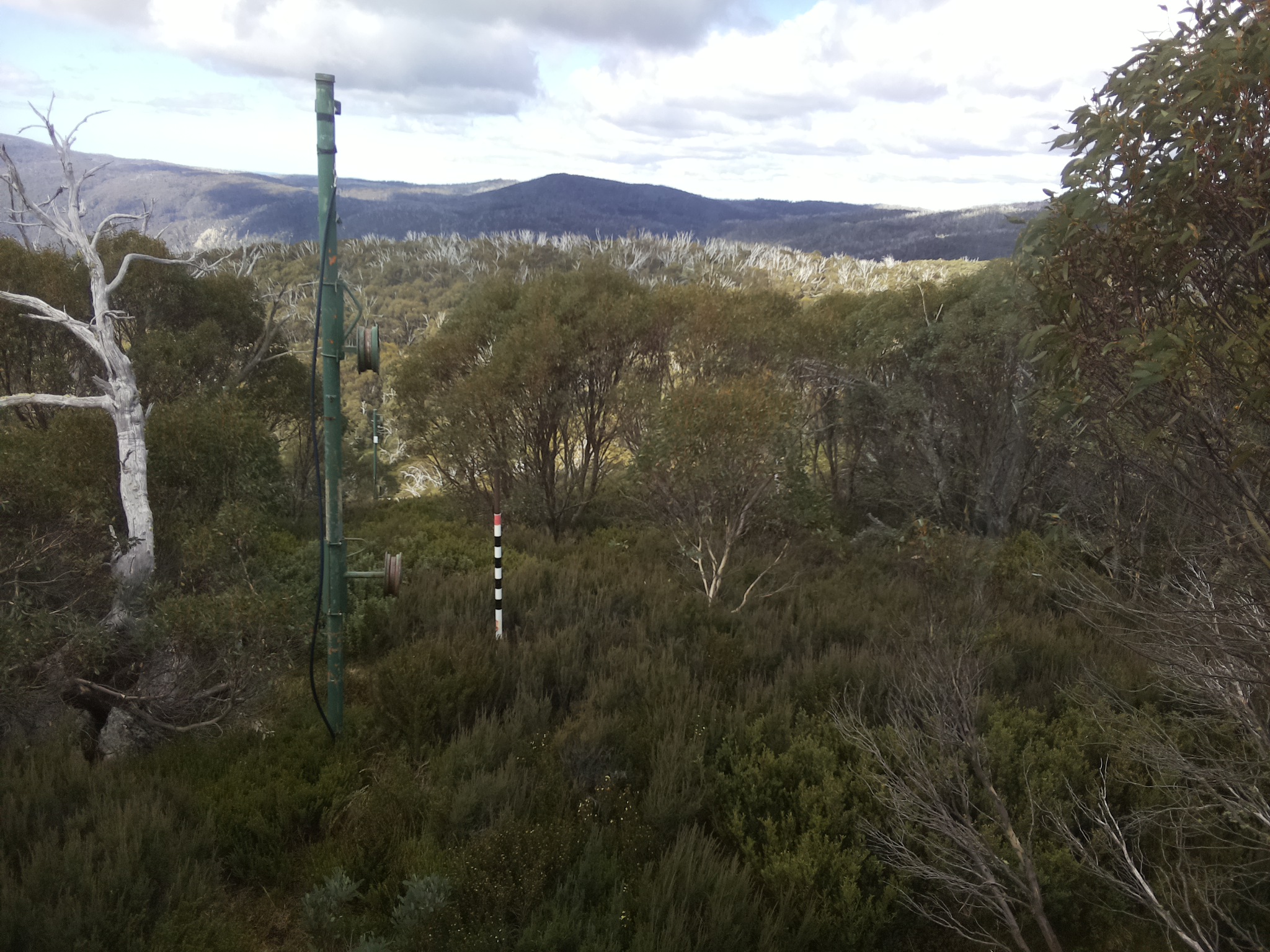 Bogong Web Cam 11:40am Tuesday 13th of May 2025