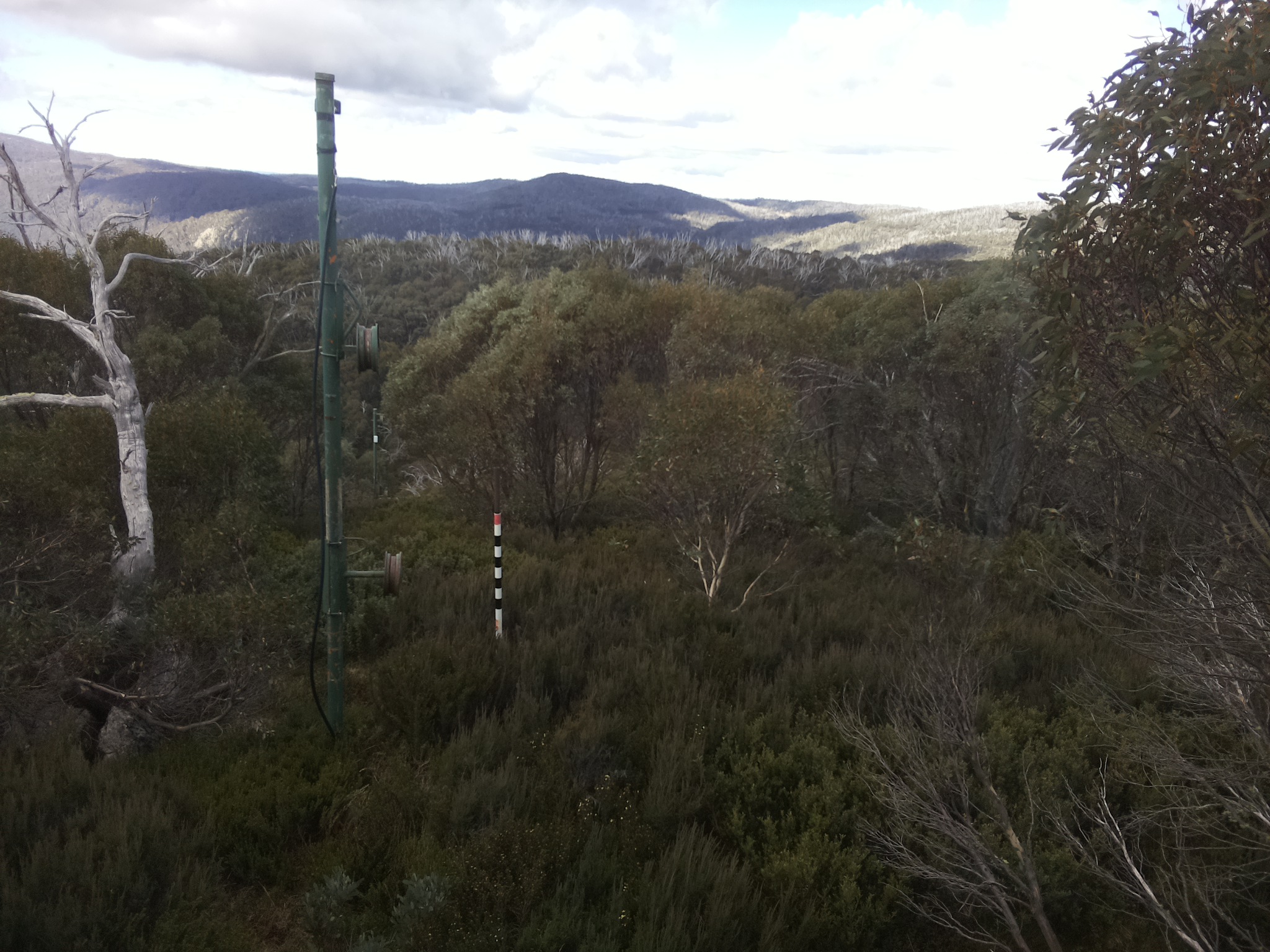 Bogong Web Cam 11:50am Tuesday 13th of May 2025