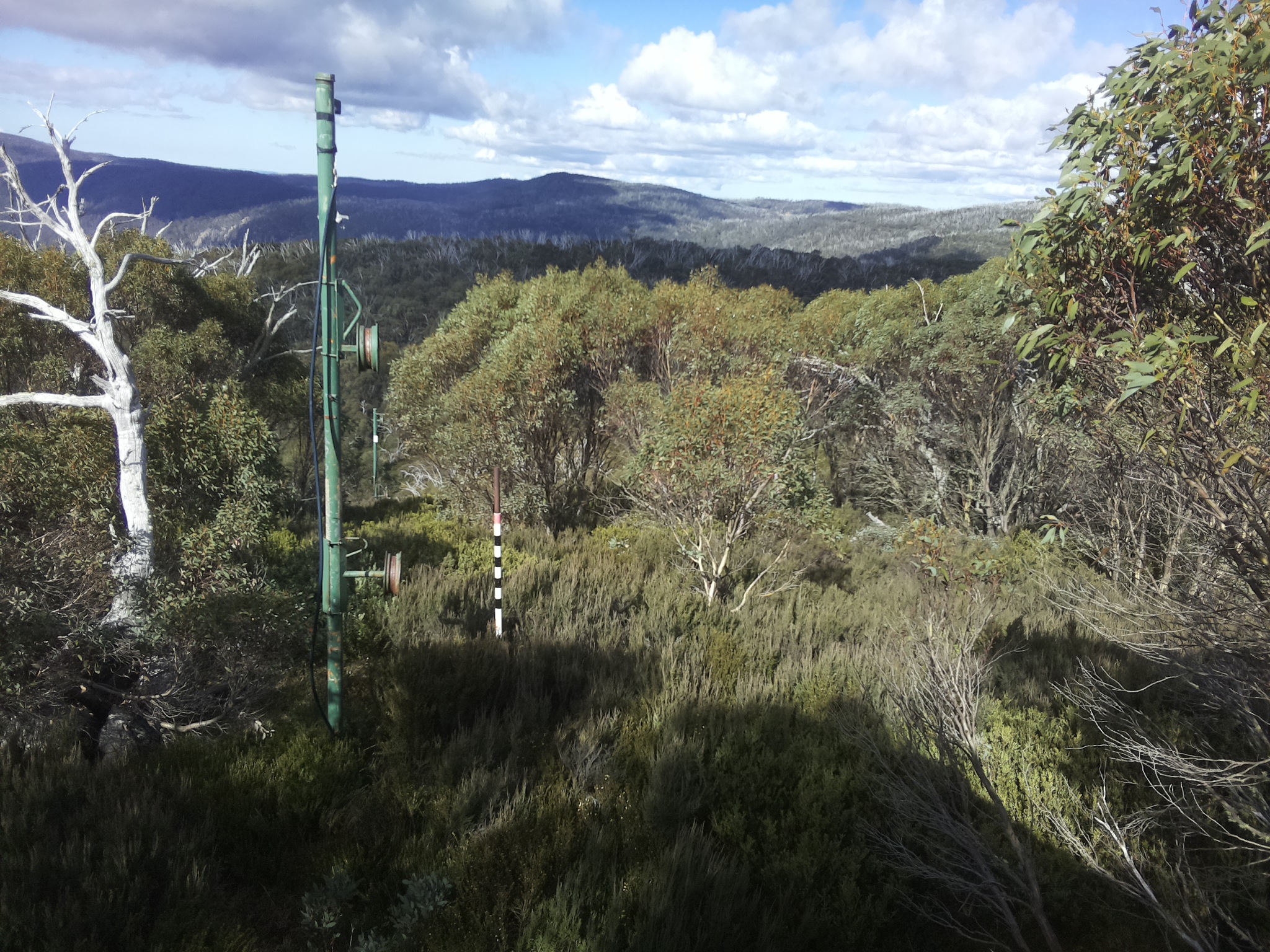 Bogong Web Cam 12:00pm Tuesday 13th of May 2025