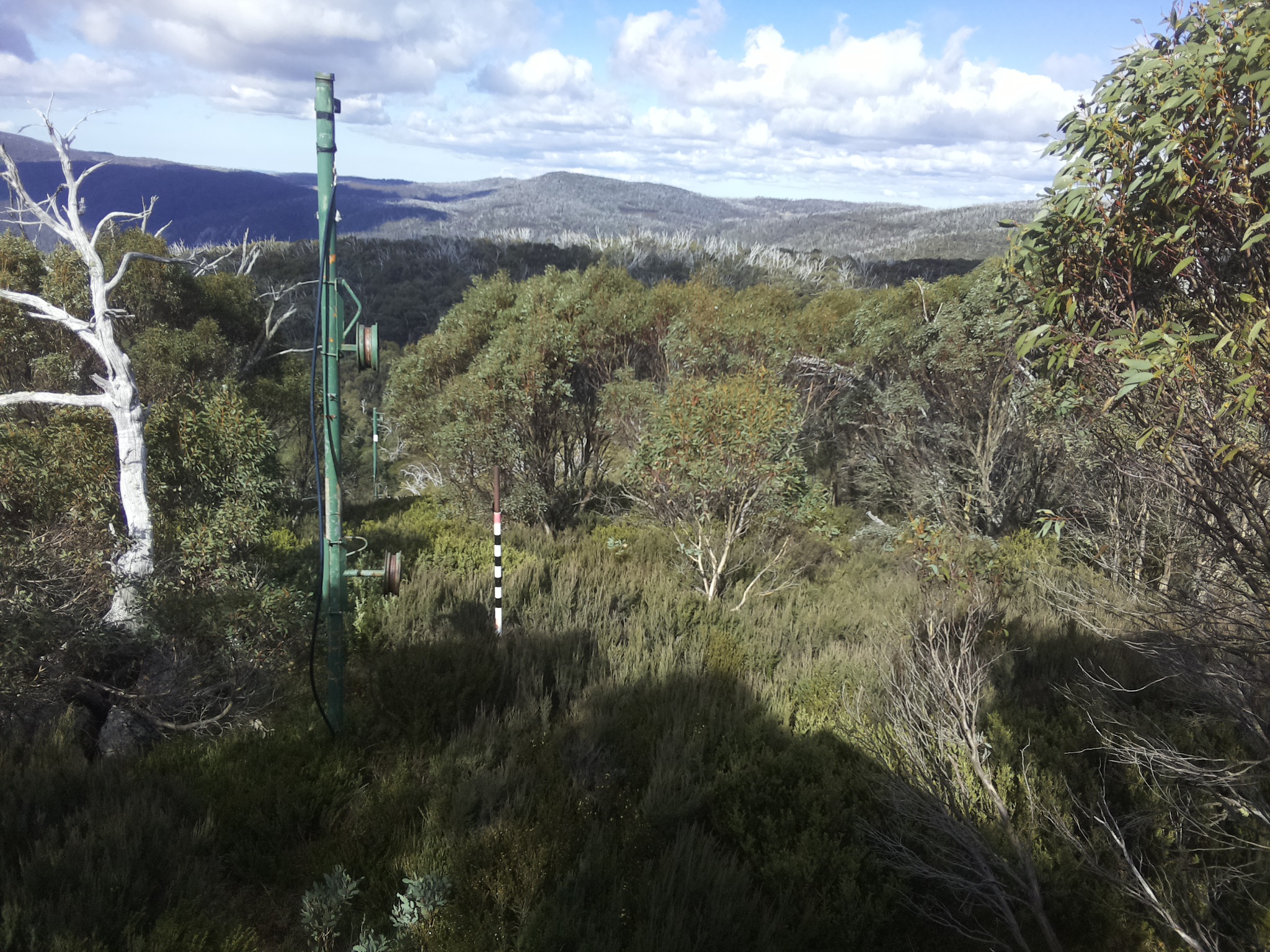 Bogong Web Cam 12:20pm Tuesday 13th of May 2025