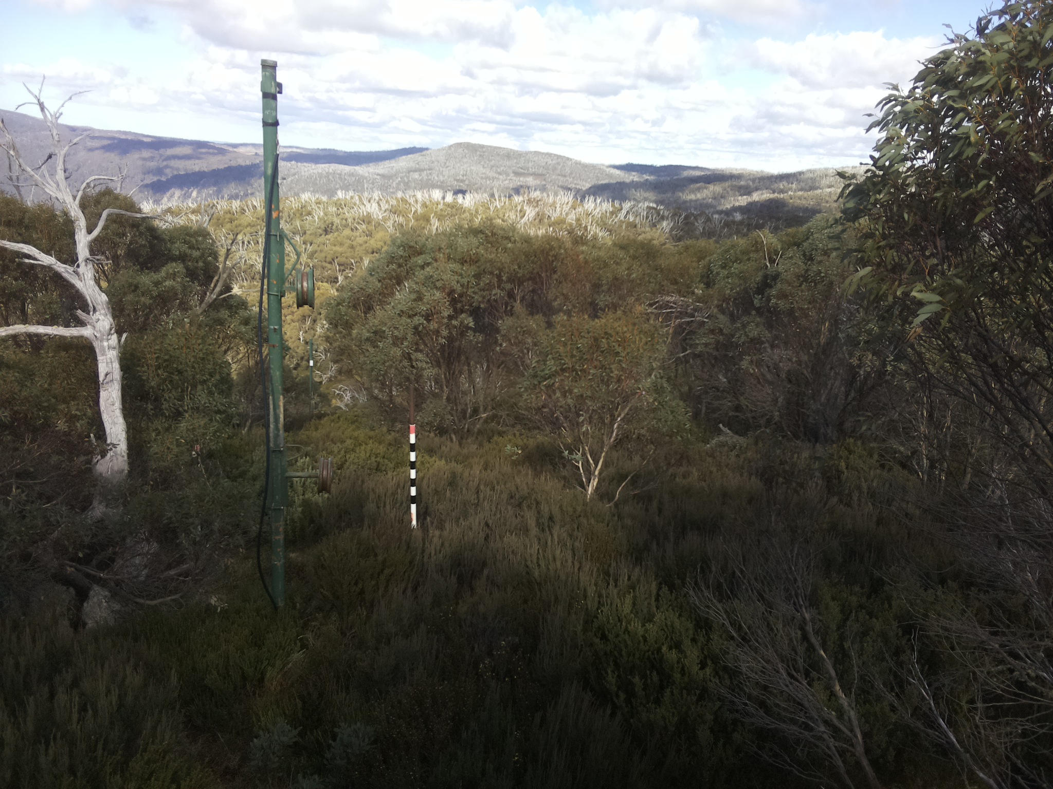 Bogong Web Cam 1:20pm Tuesday 13th of May 2025