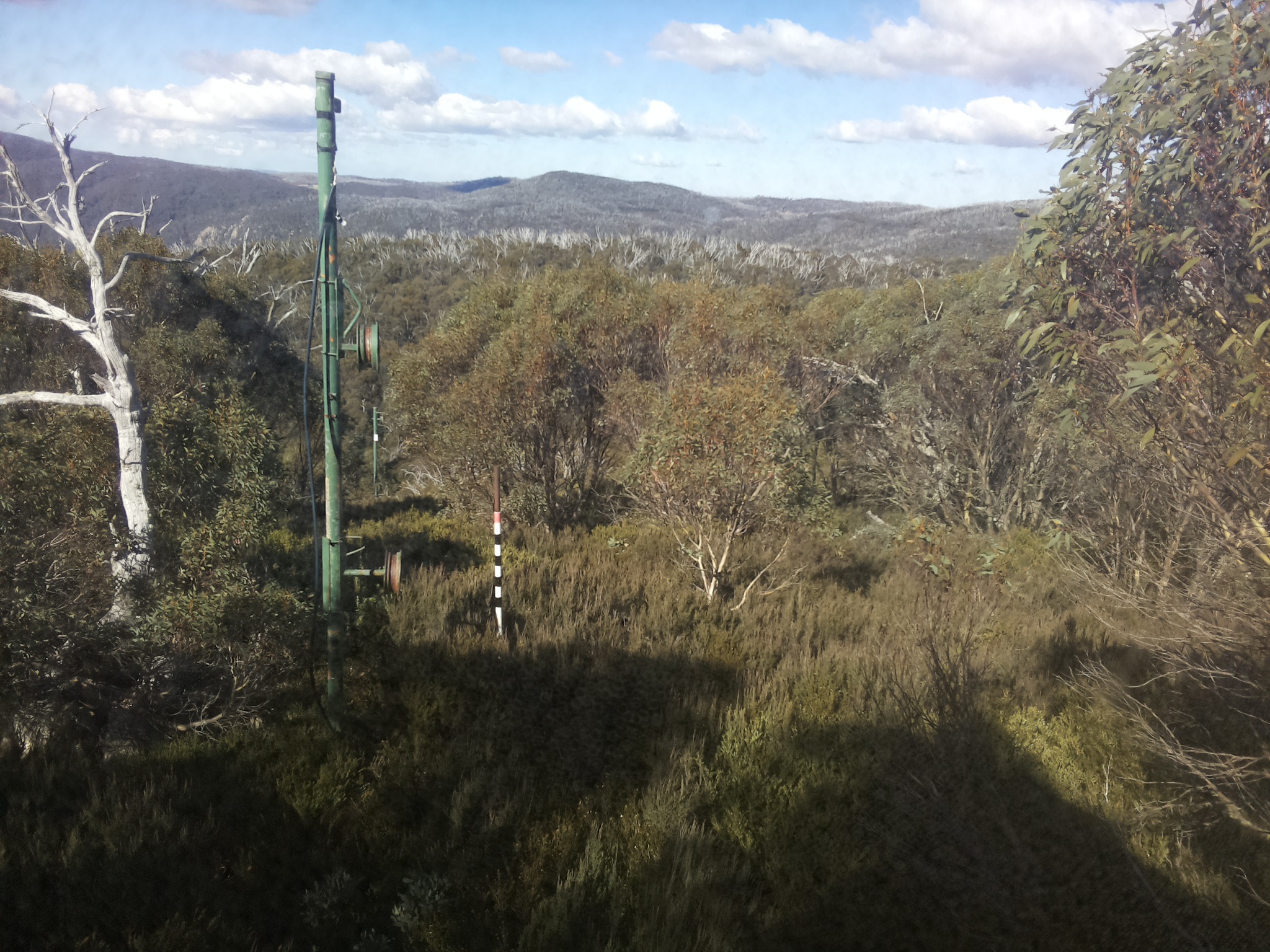 Bogong Web Cam 11:40am Wednesday 14th of May 2025