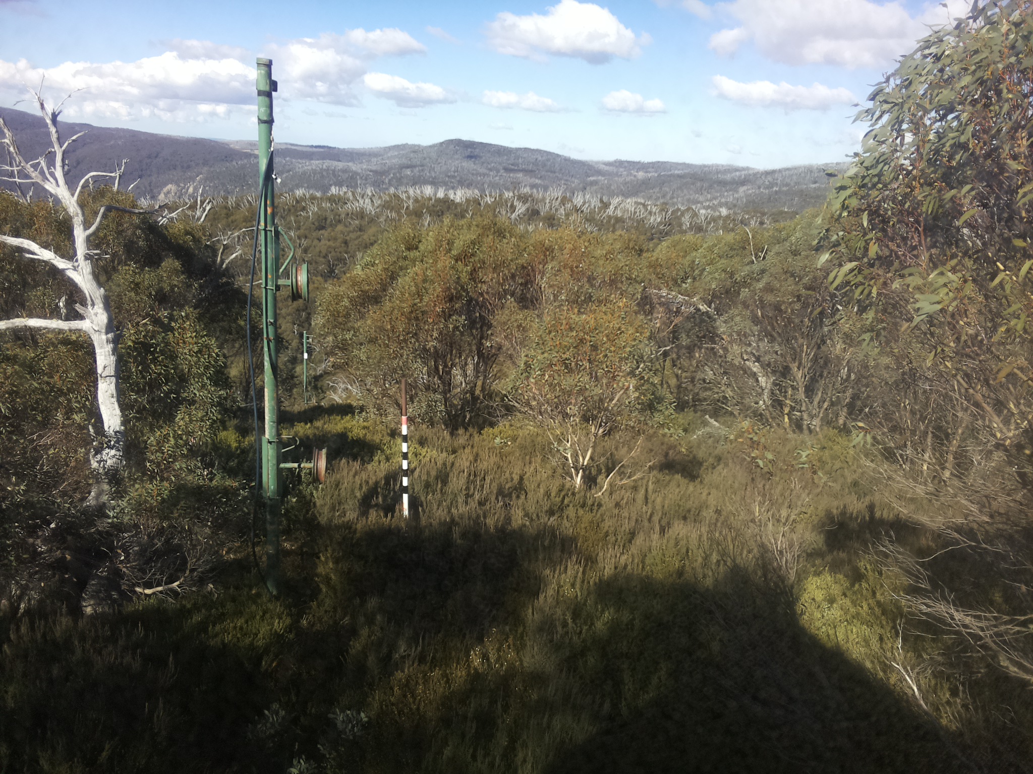 Bogong Web Cam 11:50am Wednesday 14th of May 2025