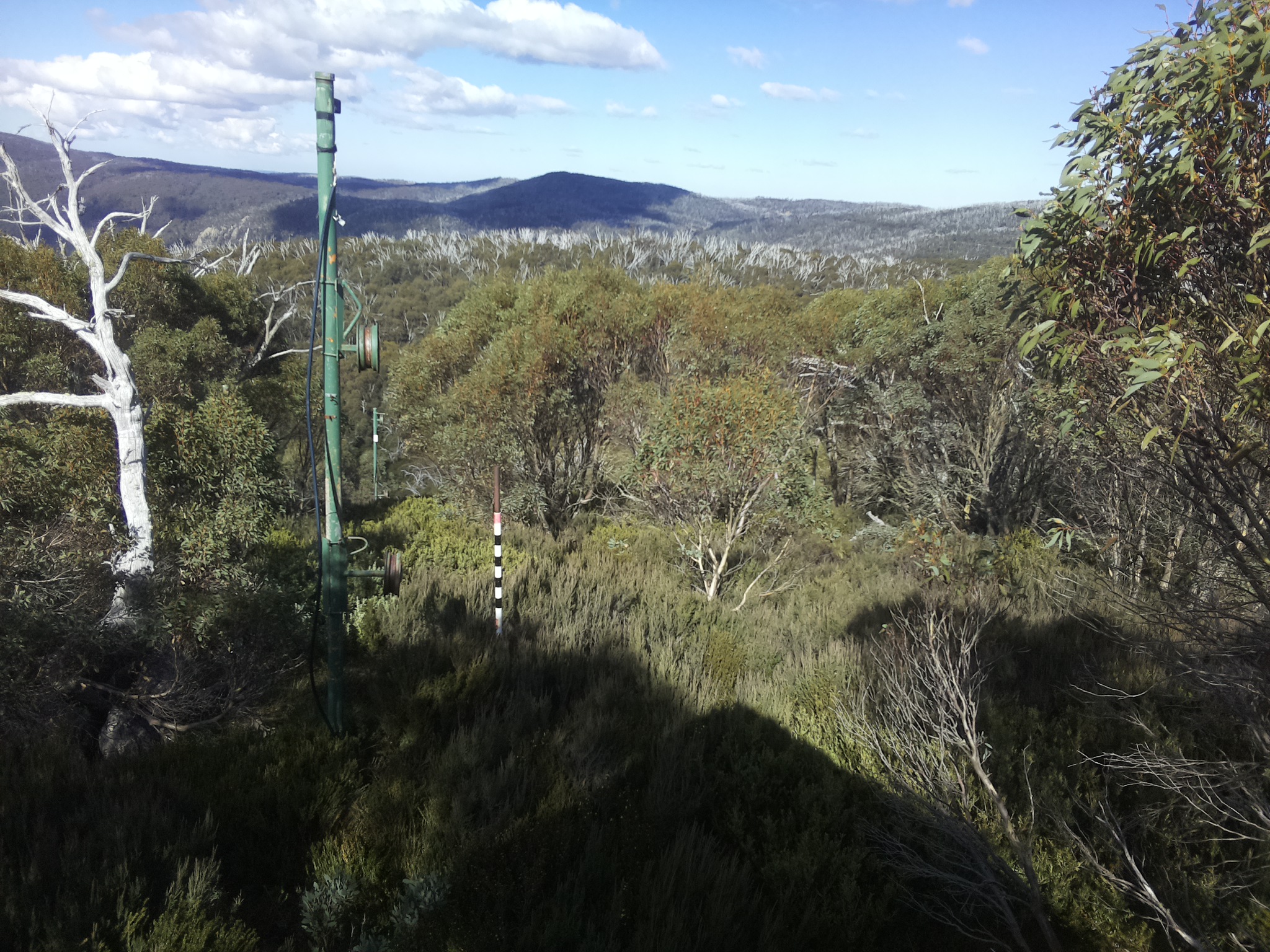 Bogong Web Cam 12:40pm Wednesday 14th of May 2025