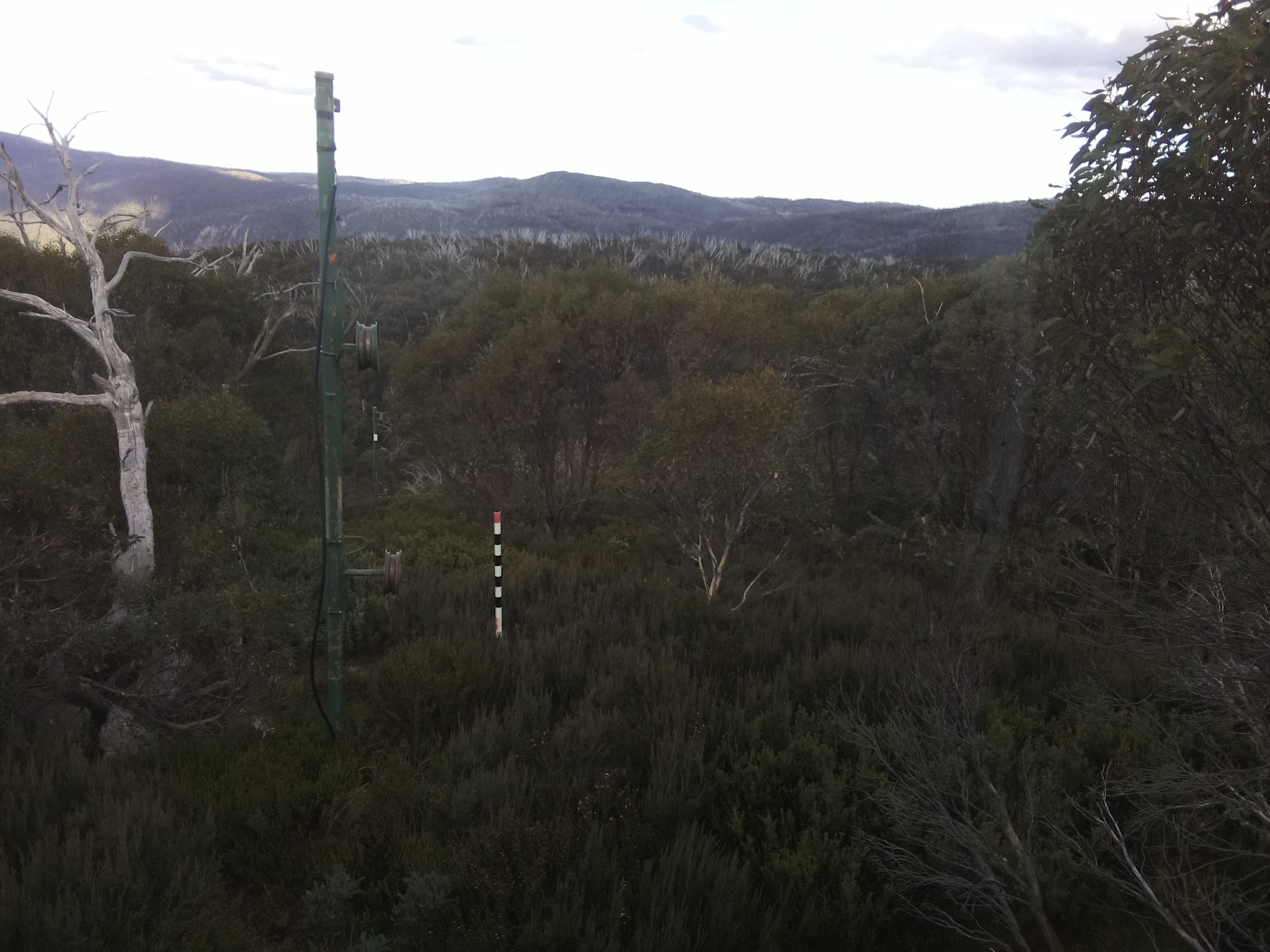 Bogong Web Cam 3:00pm Wednesday 14th of May 2025