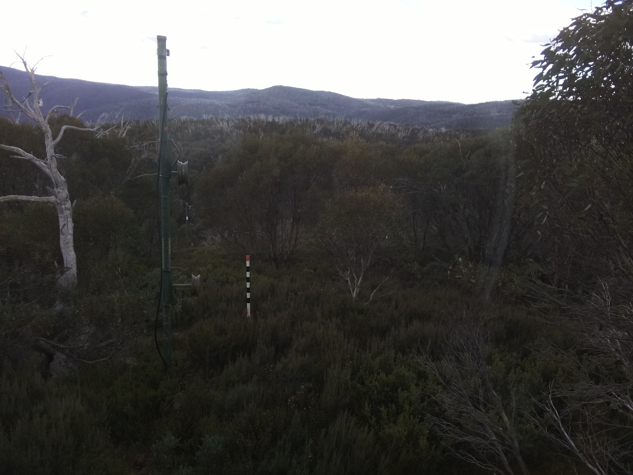 Bogong Web Cam 3:10pm Wednesday 14th of May 2025