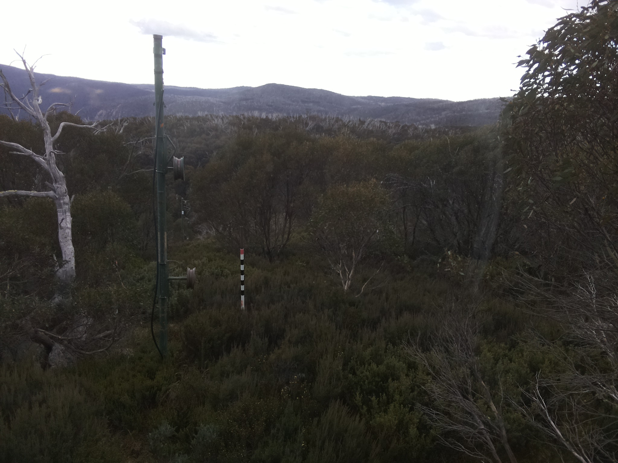 Bogong Web Cam 3:30pm Wednesday 14th of May 2025