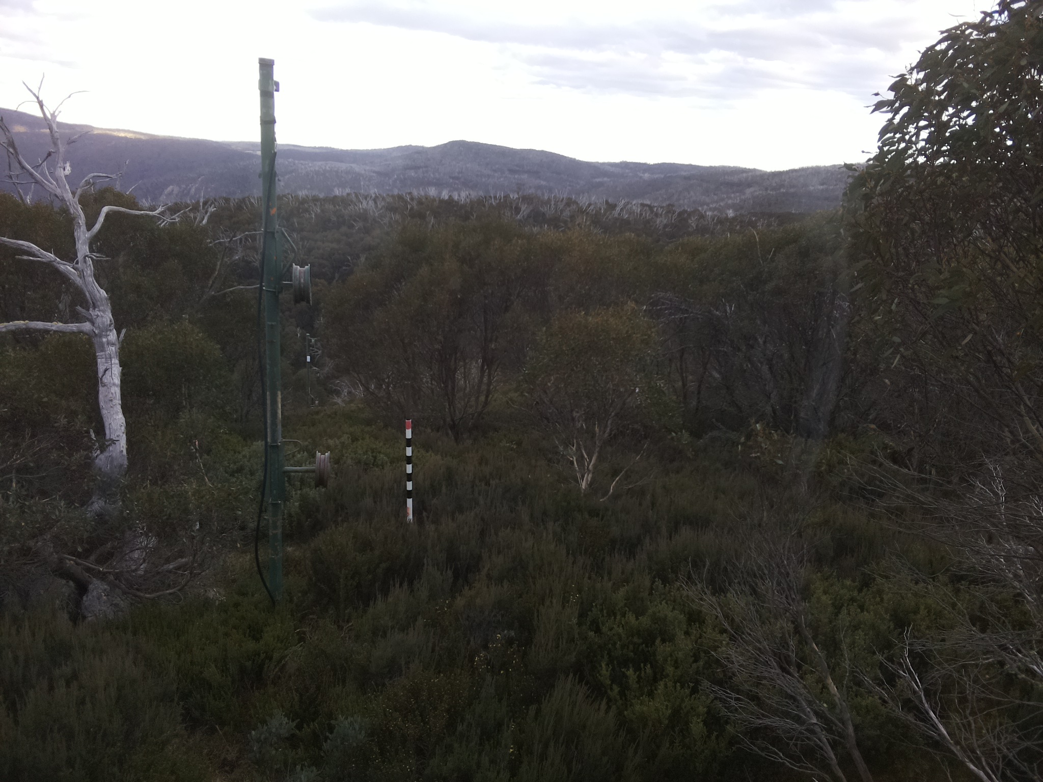 Bogong Web Cam 4:00pm Wednesday 14th of May 2025