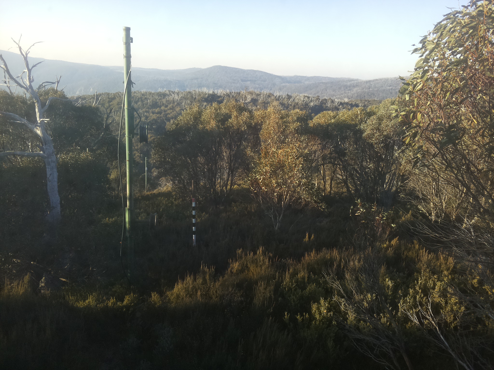 Bogong Web Cam 8:00am Thursday 15th of May 2025