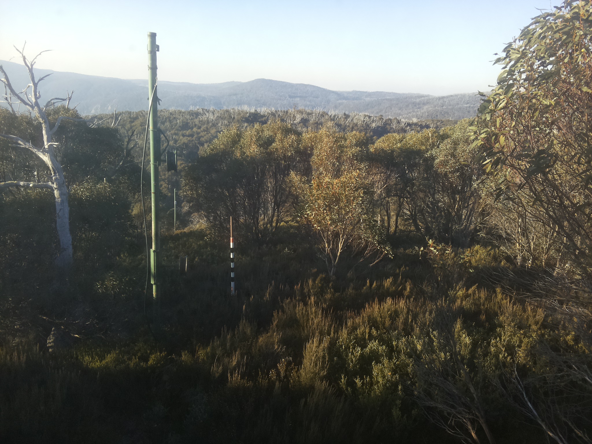 Bogong Web Cam 8:10am Thursday 15th of May 2025