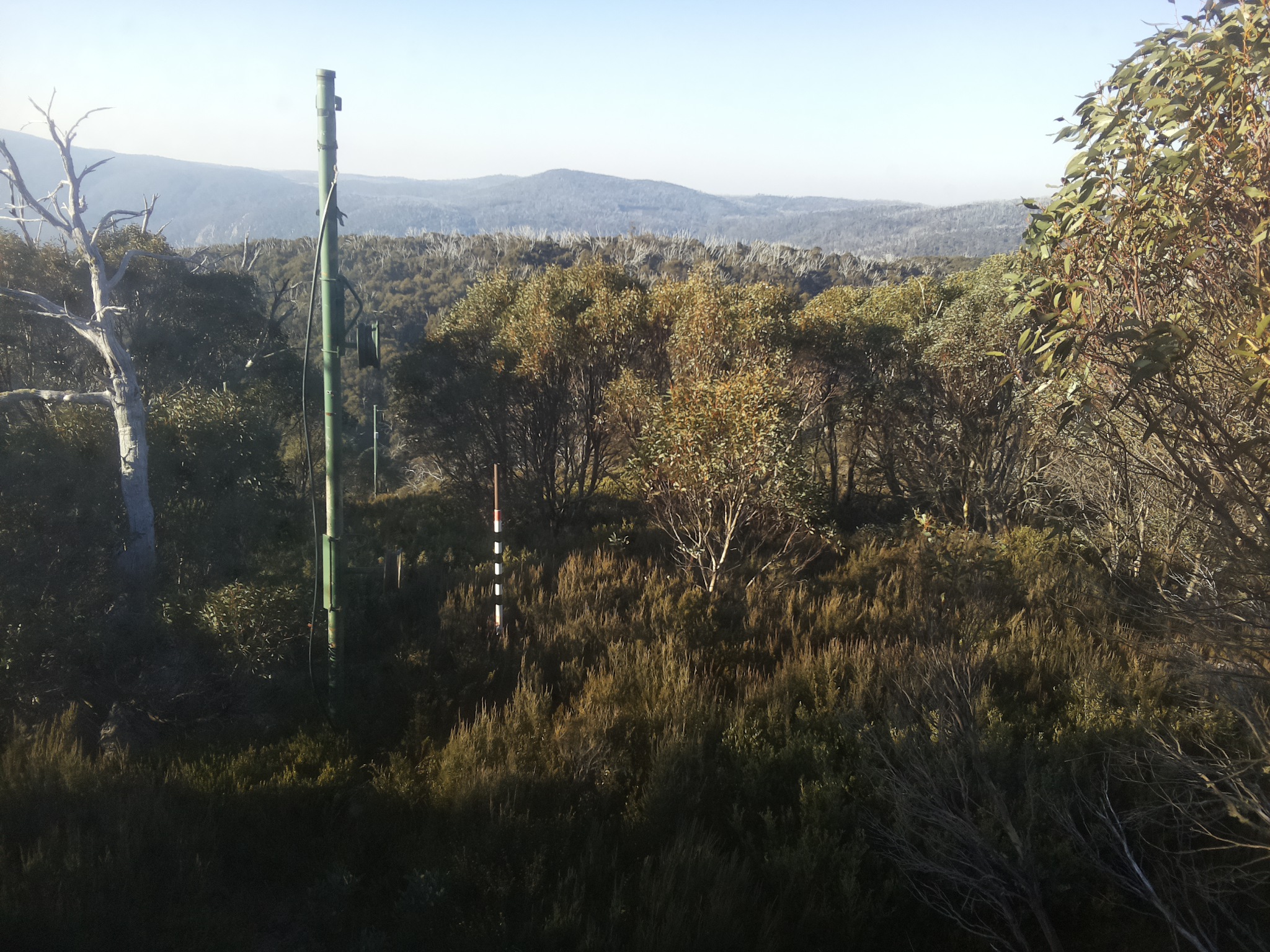 Bogong Web Cam 8:30am Thursday 15th of May 2025