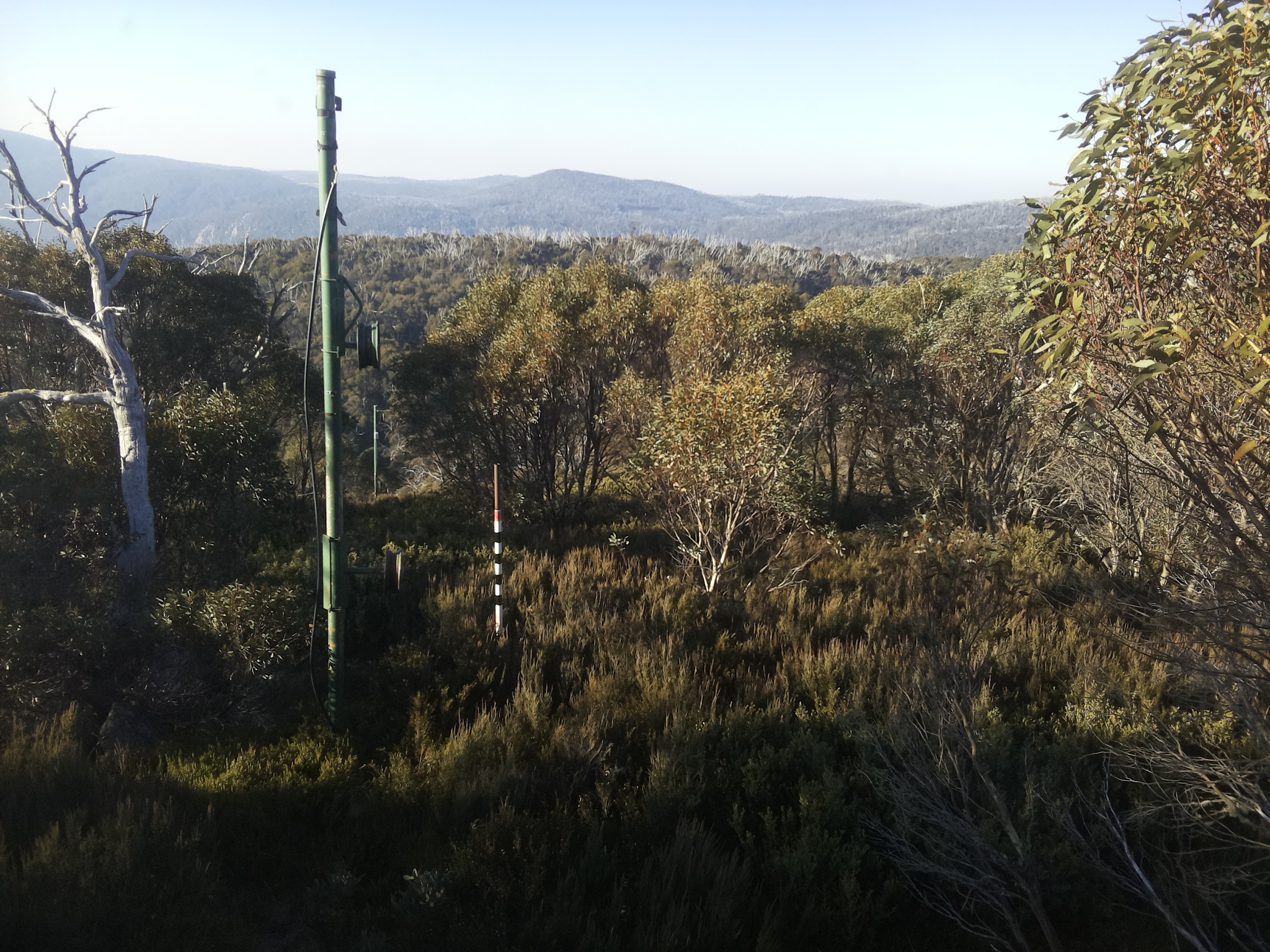 Bogong Web Cam 8:40am Thursday 15th of May 2025