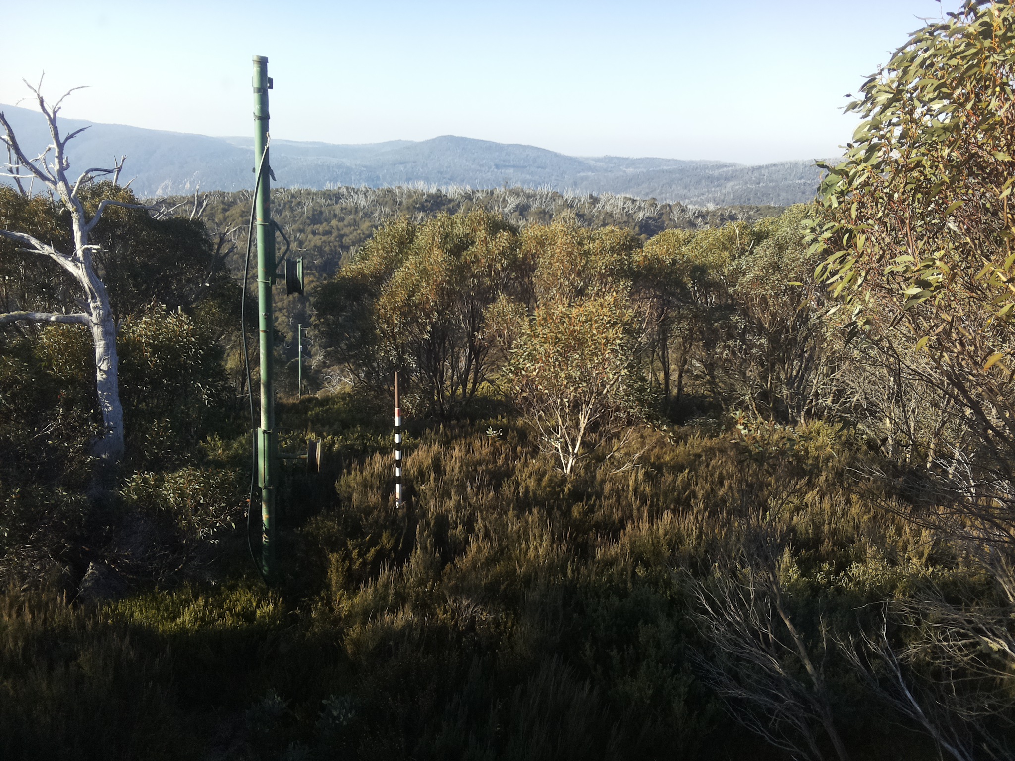 Bogong Web Cam 8:50am Thursday 15th of May 2025