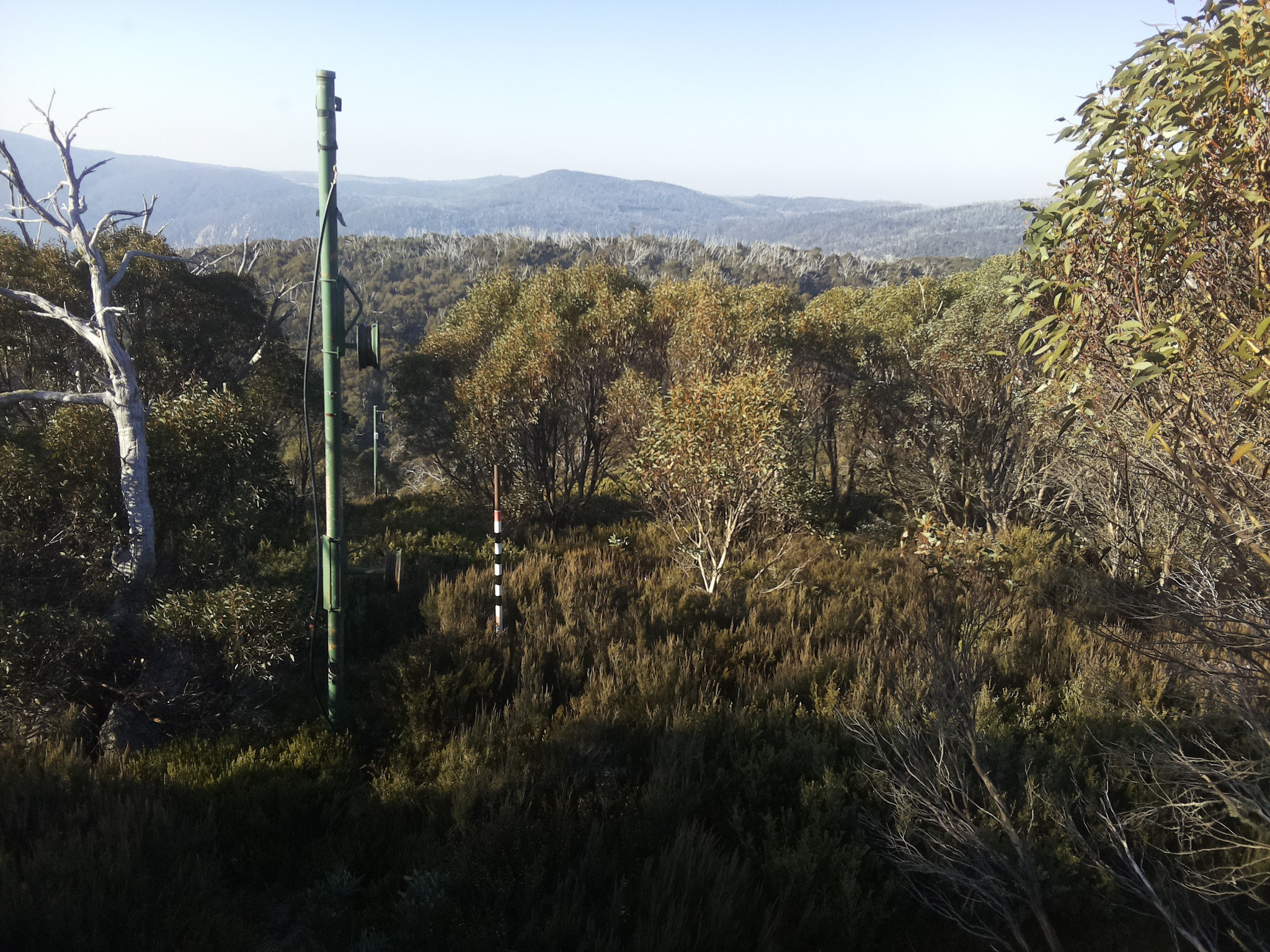 Bogong Web Cam 9:00am Thursday 15th of May 2025