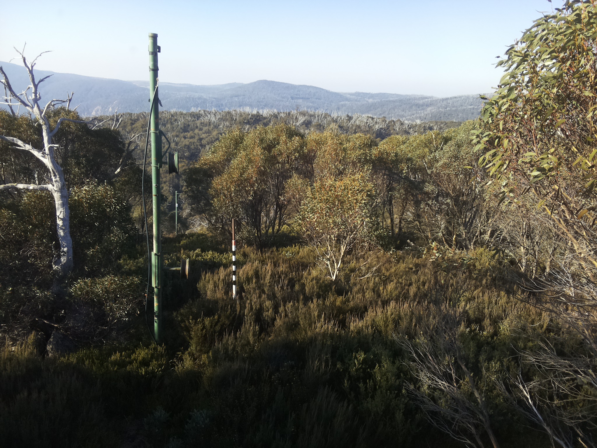 Bogong Web Cam 9:10am Thursday 15th of May 2025