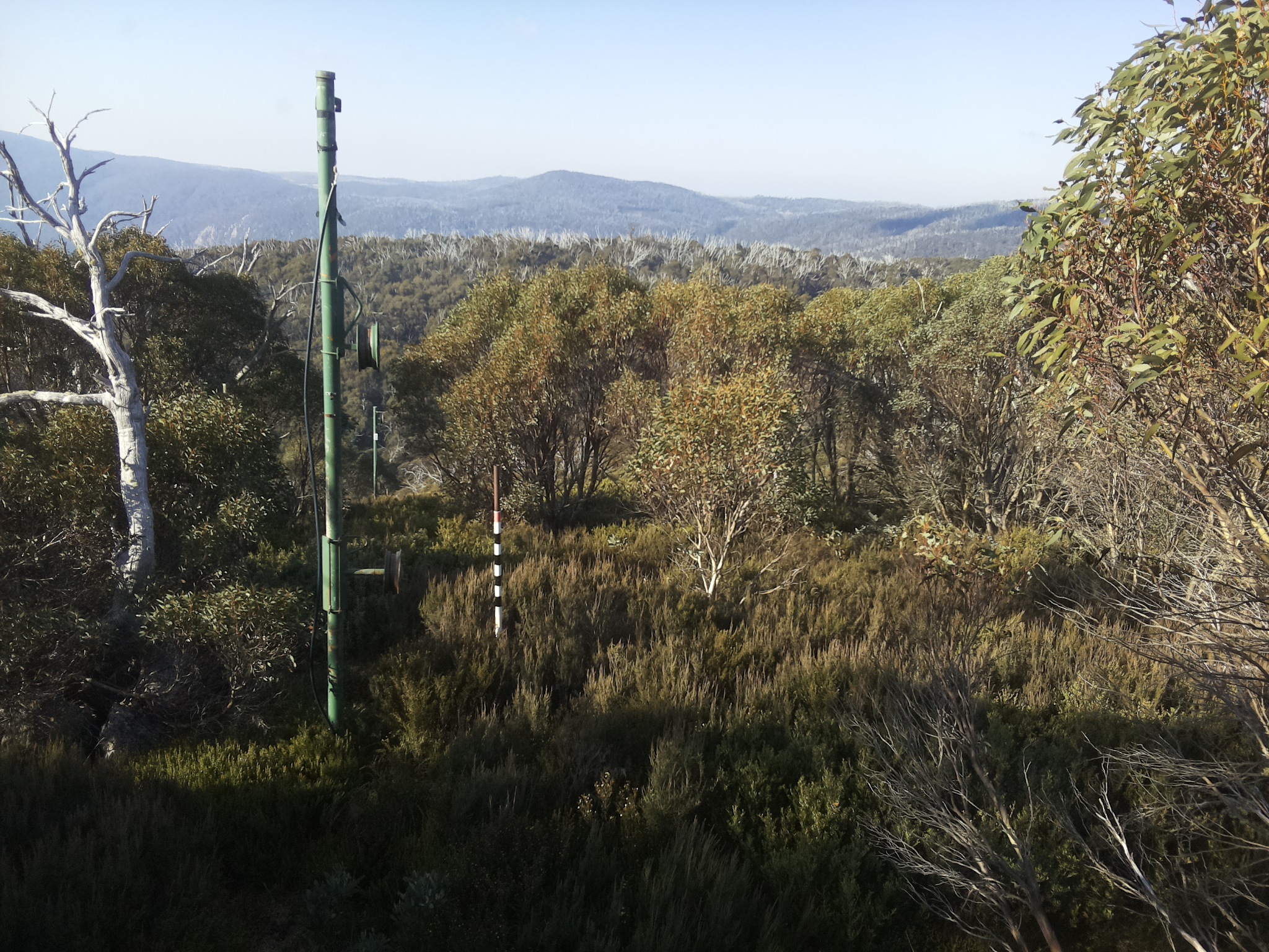 Bogong Web Cam 9:30am Thursday 15th of May 2025