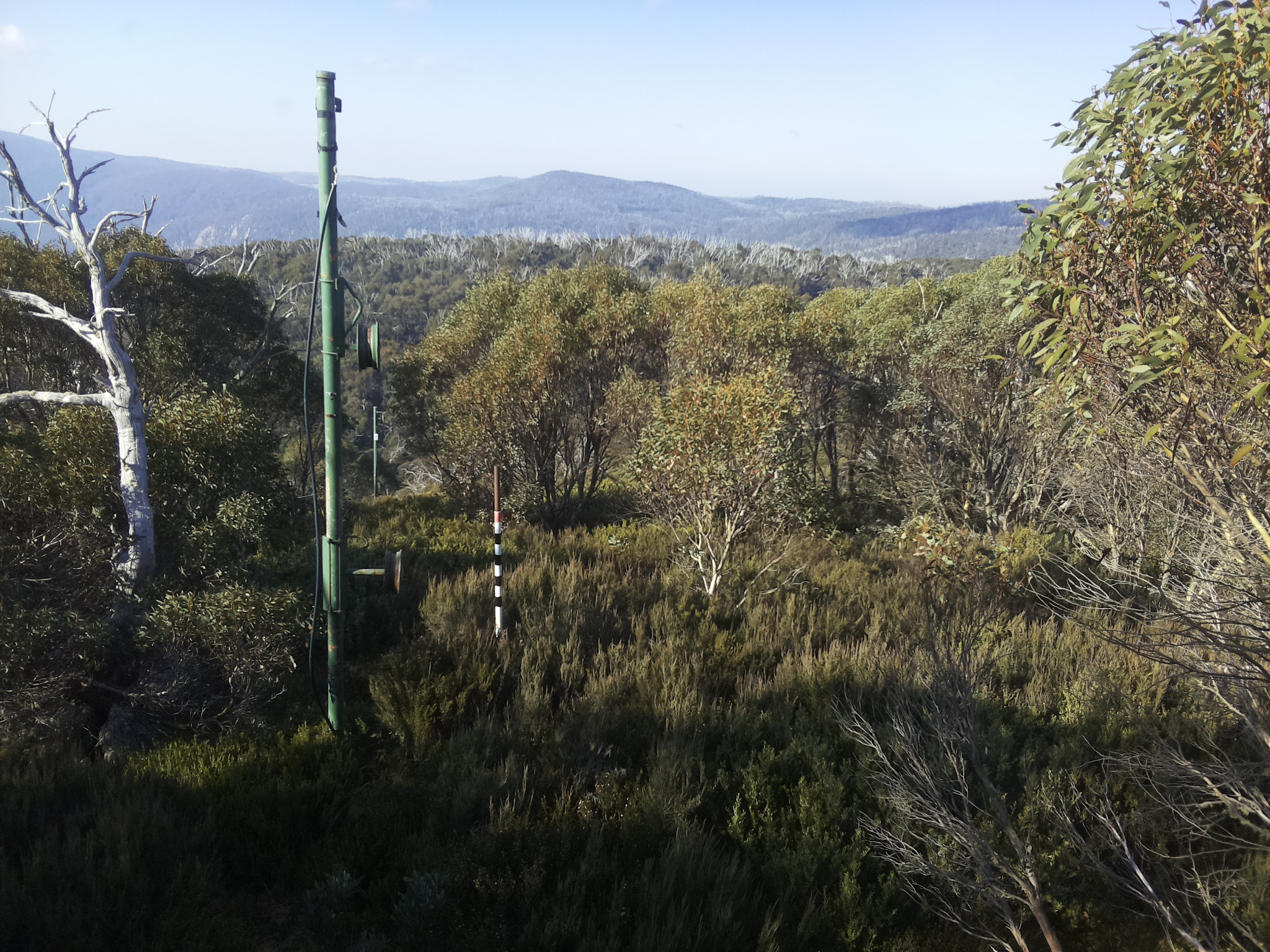 Bogong Web Cam 9:40am Thursday 15th of May 2025