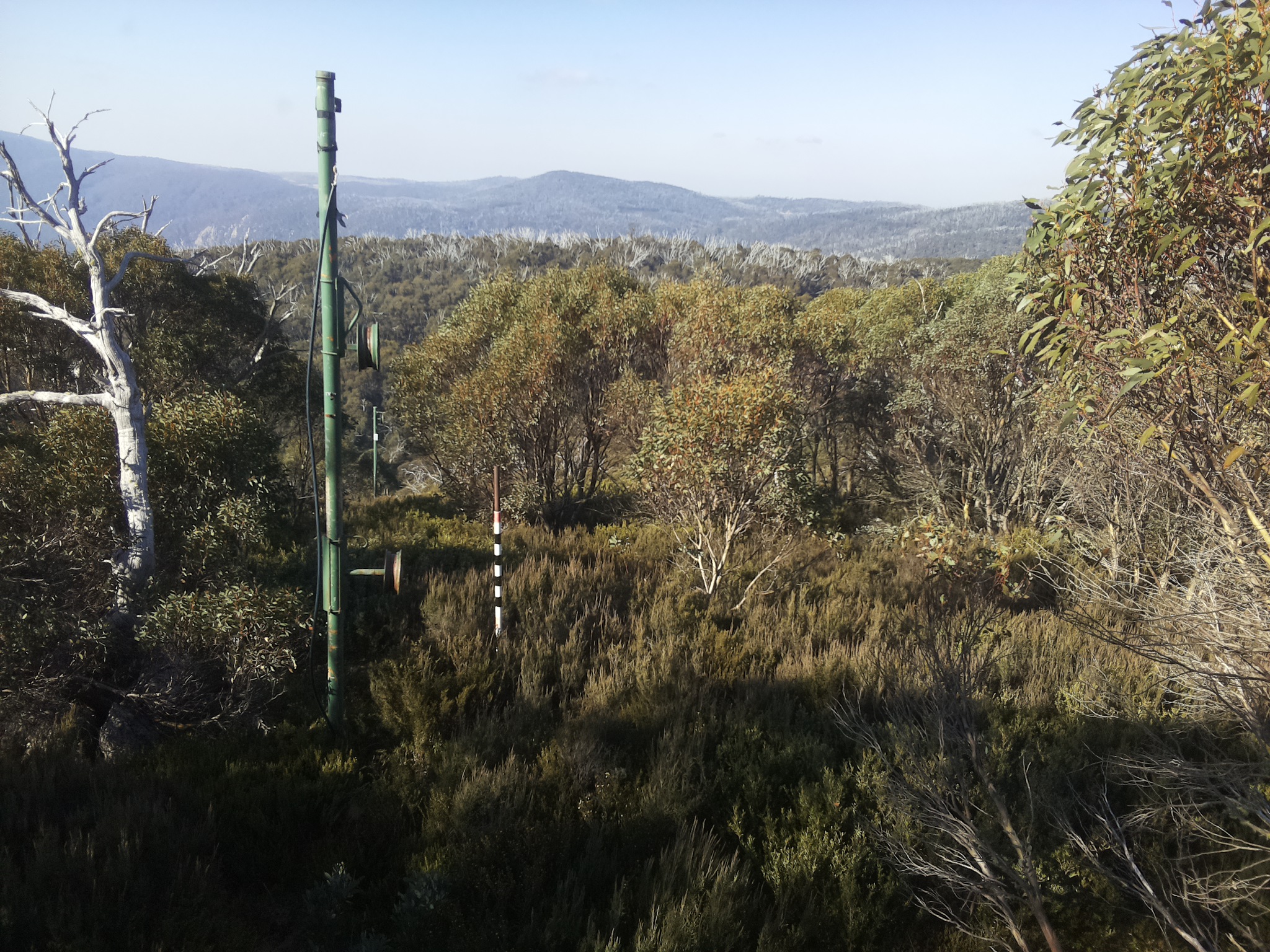 Bogong Web Cam 10:00am Thursday 15th of May 2025