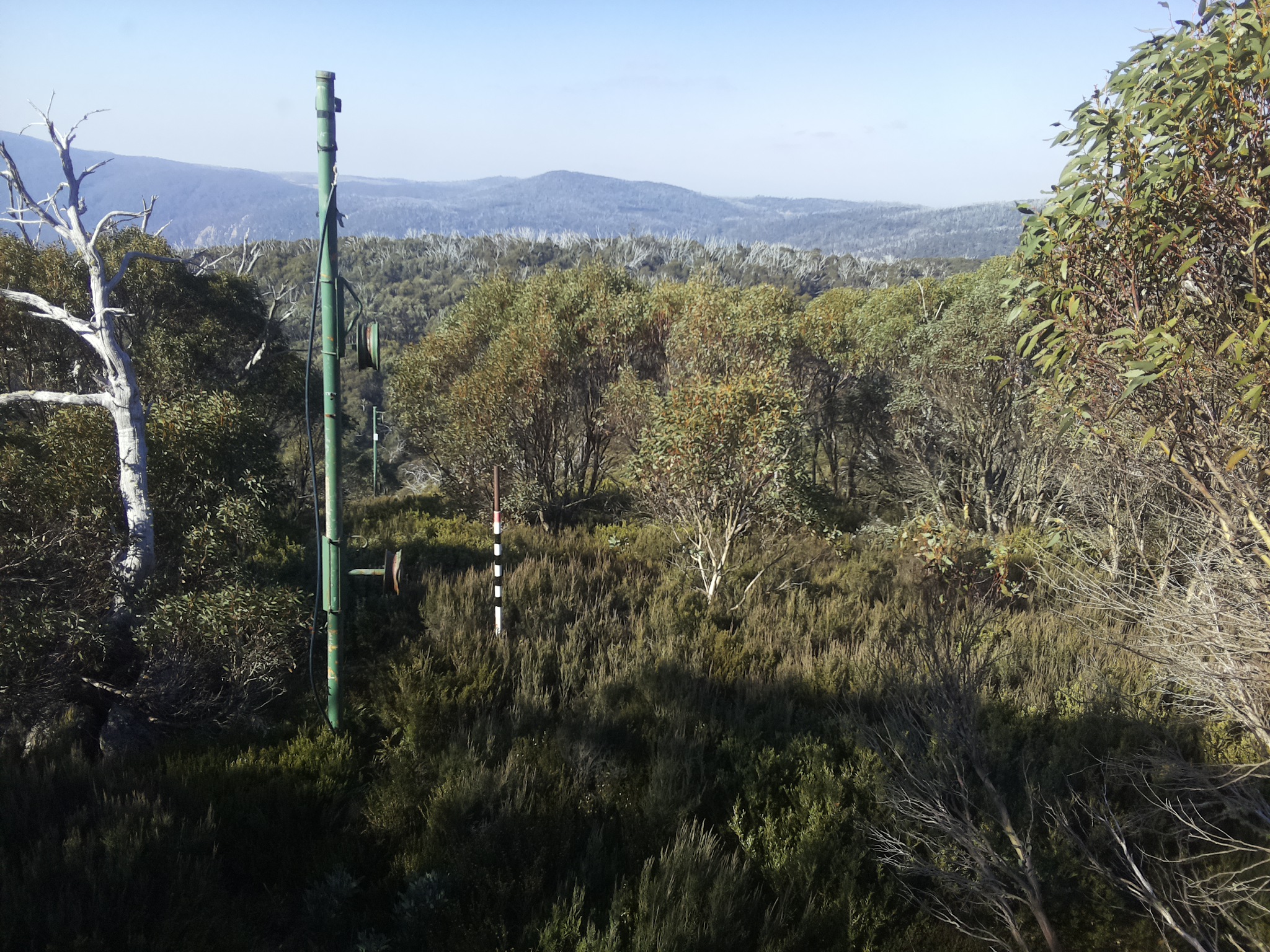 Bogong Web Cam 10:10am Thursday 15th of May 2025