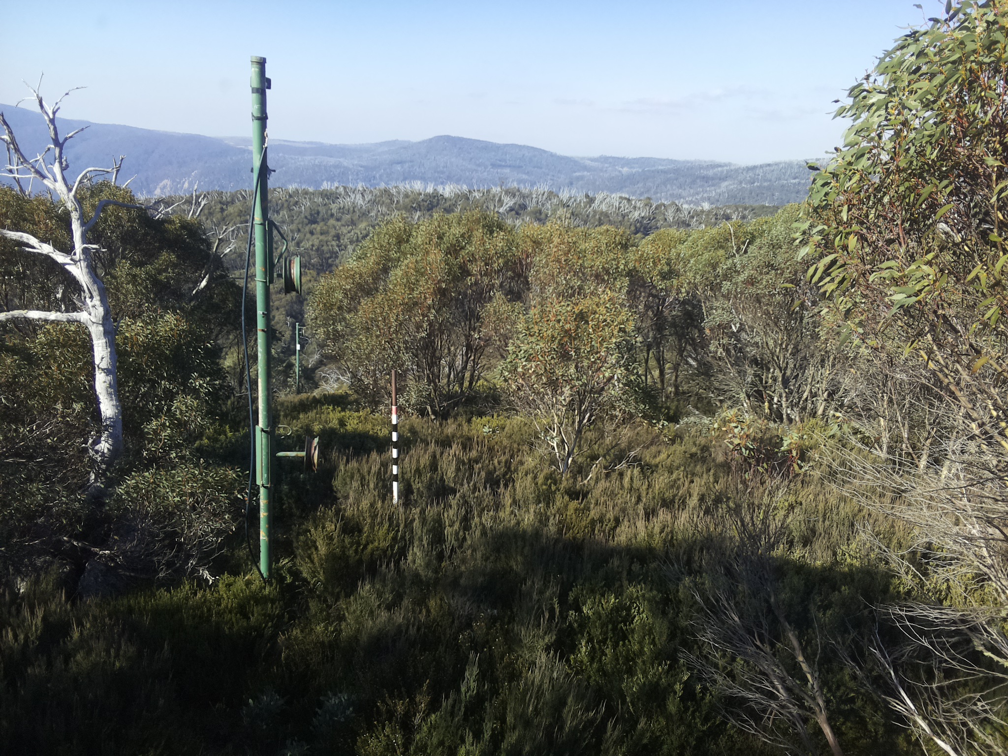 Bogong Web Cam 10:20am Thursday 15th of May 2025