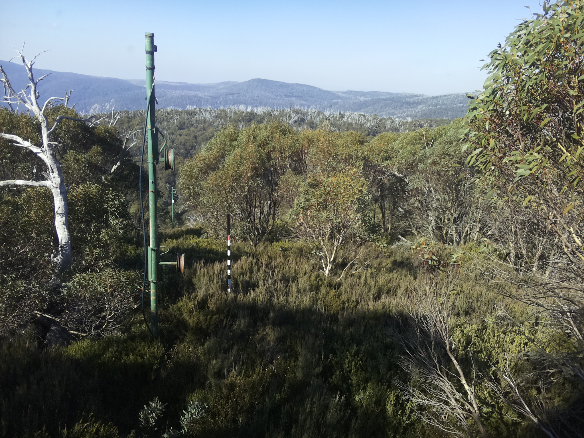 Bogong Web Cam 10:50am Thursday 15th of May 2025