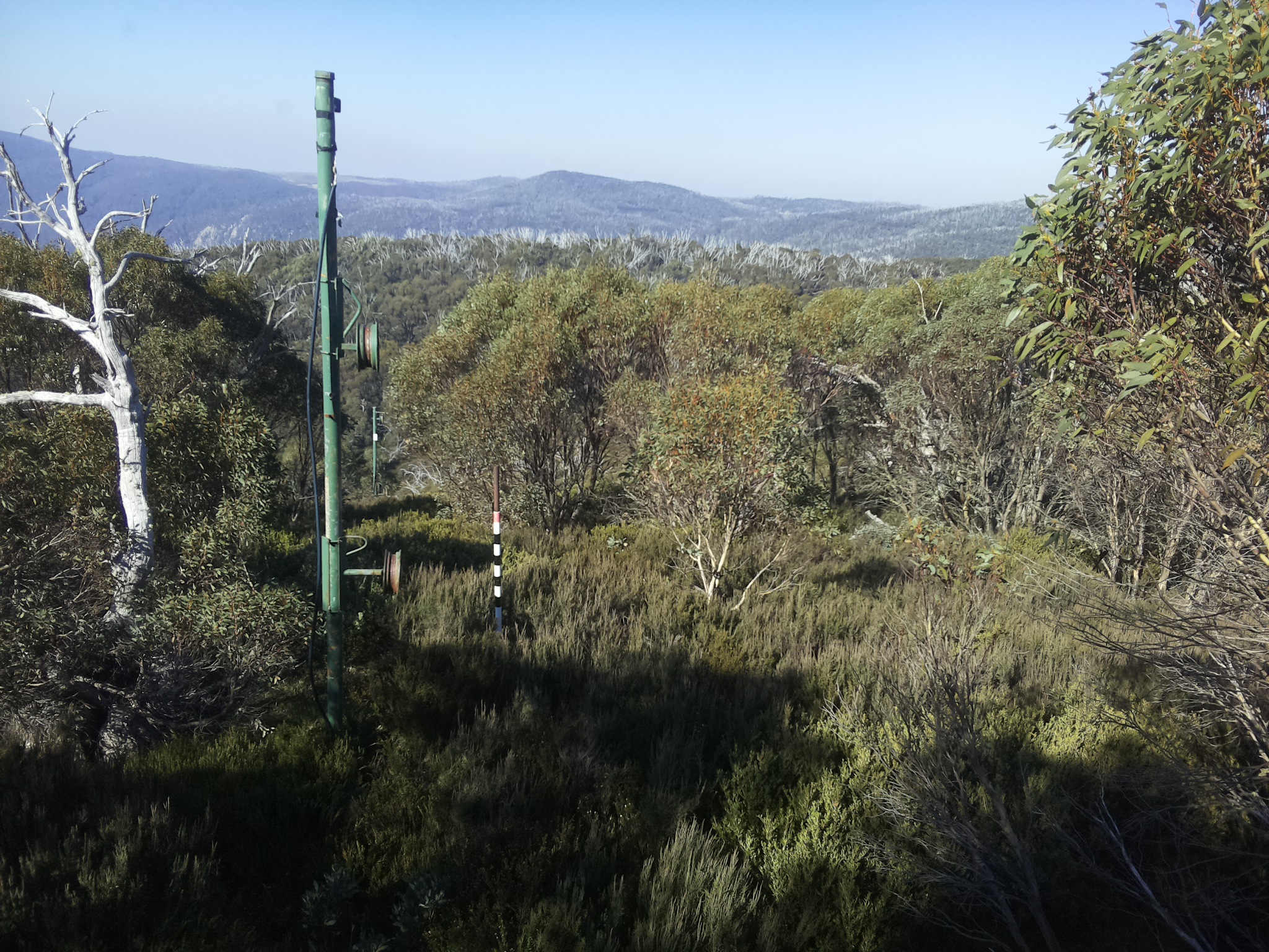 Bogong Web Cam 11:20am Thursday 15th of May 2025