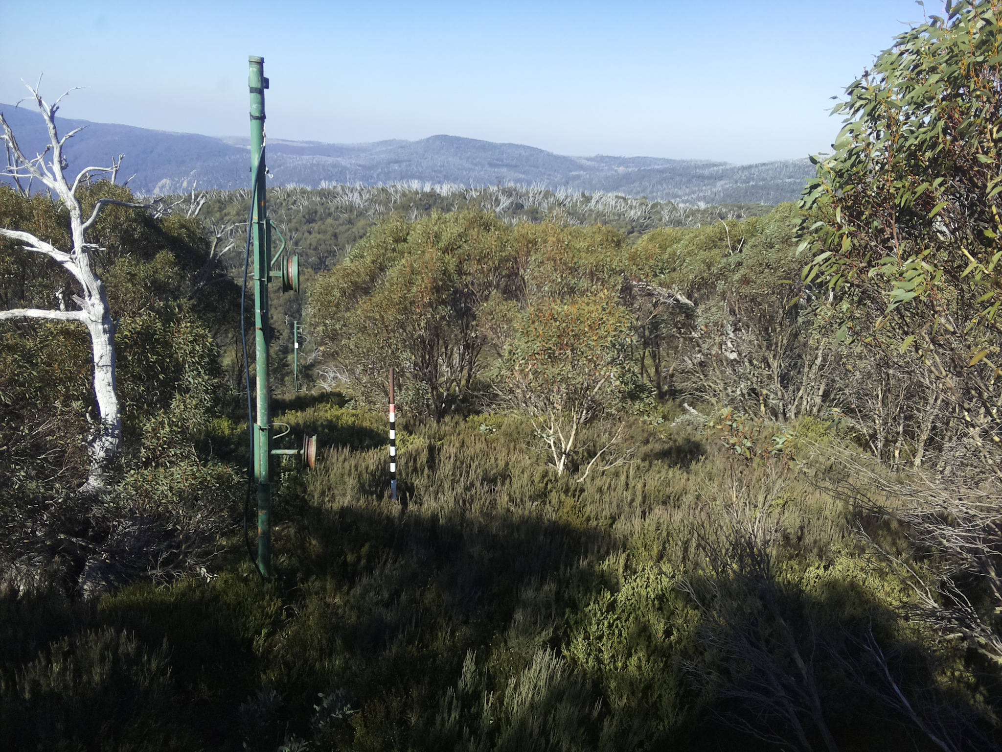 Bogong Web Cam 11:30am Thursday 15th of May 2025