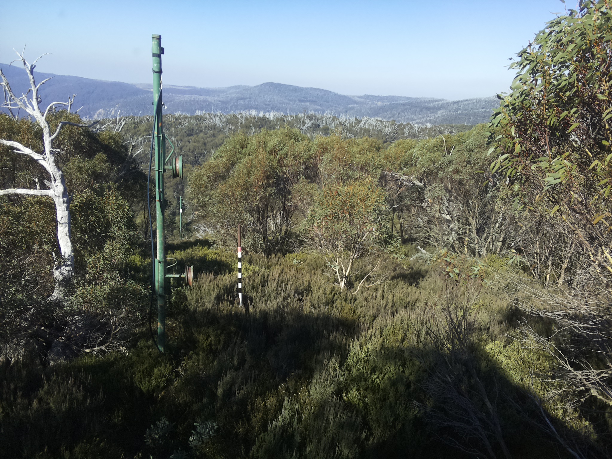 Bogong Web Cam 11:40am Thursday 15th of May 2025