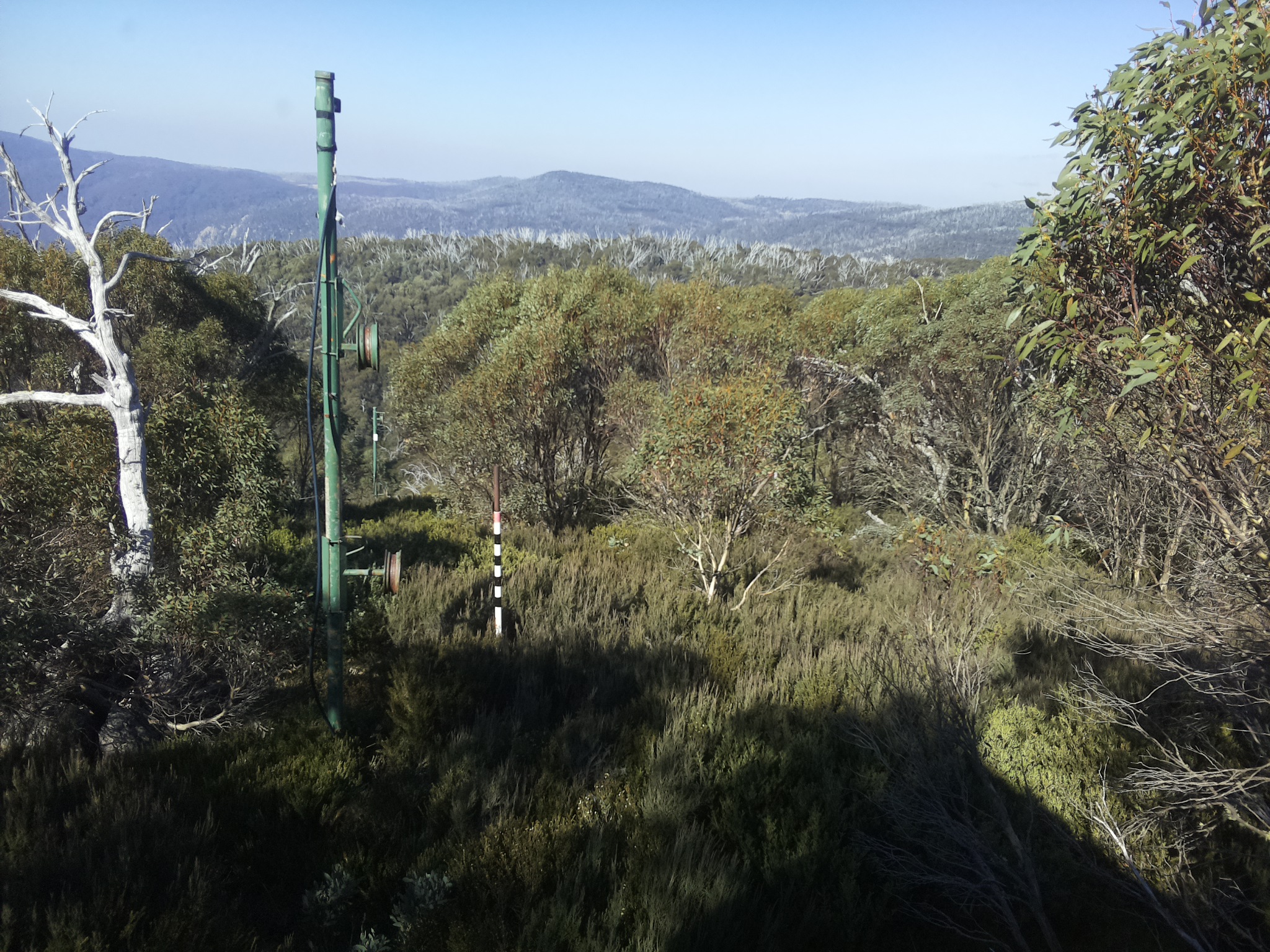 Bogong Web Cam 11:50am Thursday 15th of May 2025