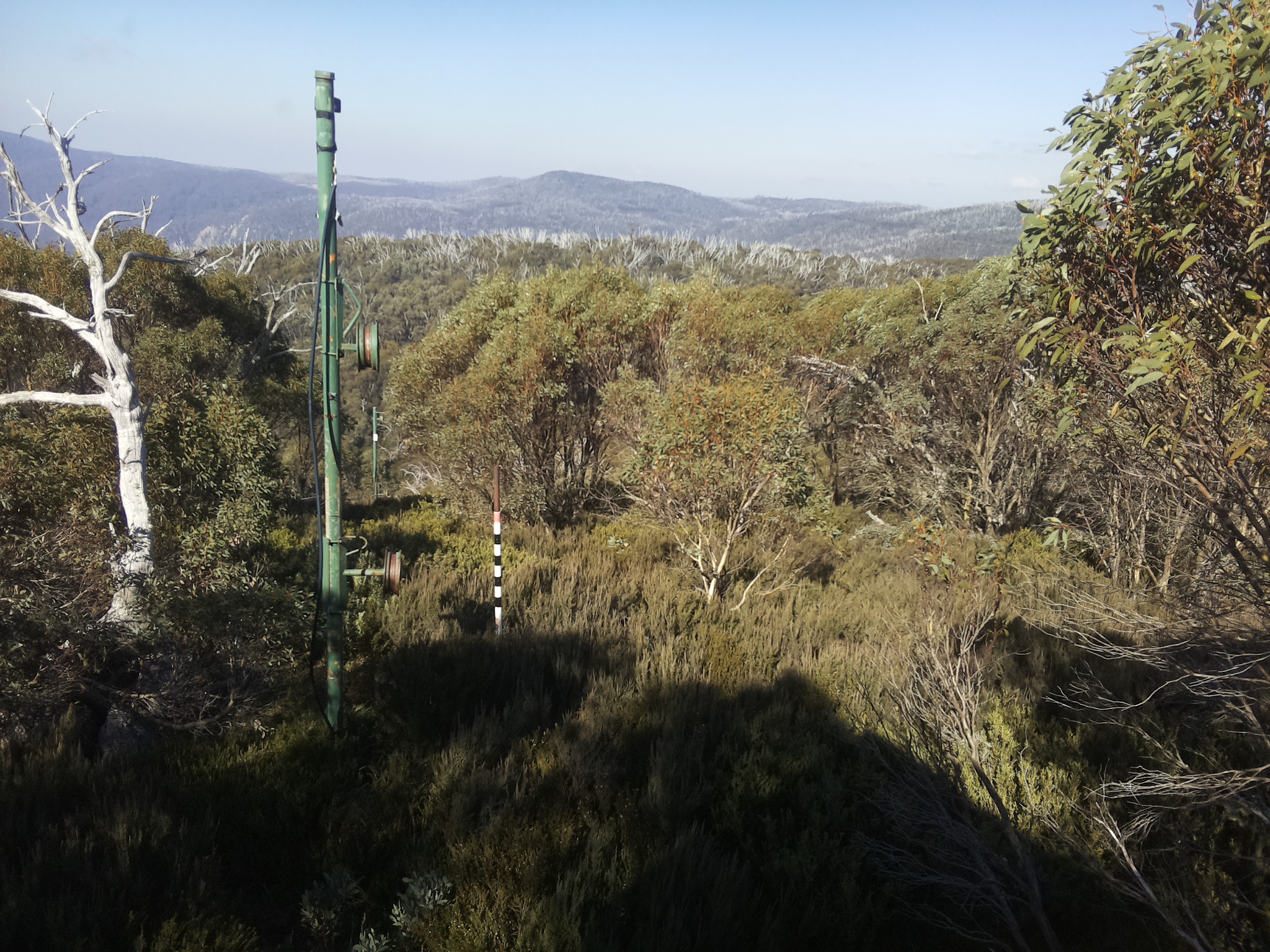 Bogong Web Cam 12:10pm Thursday 15th of May 2025