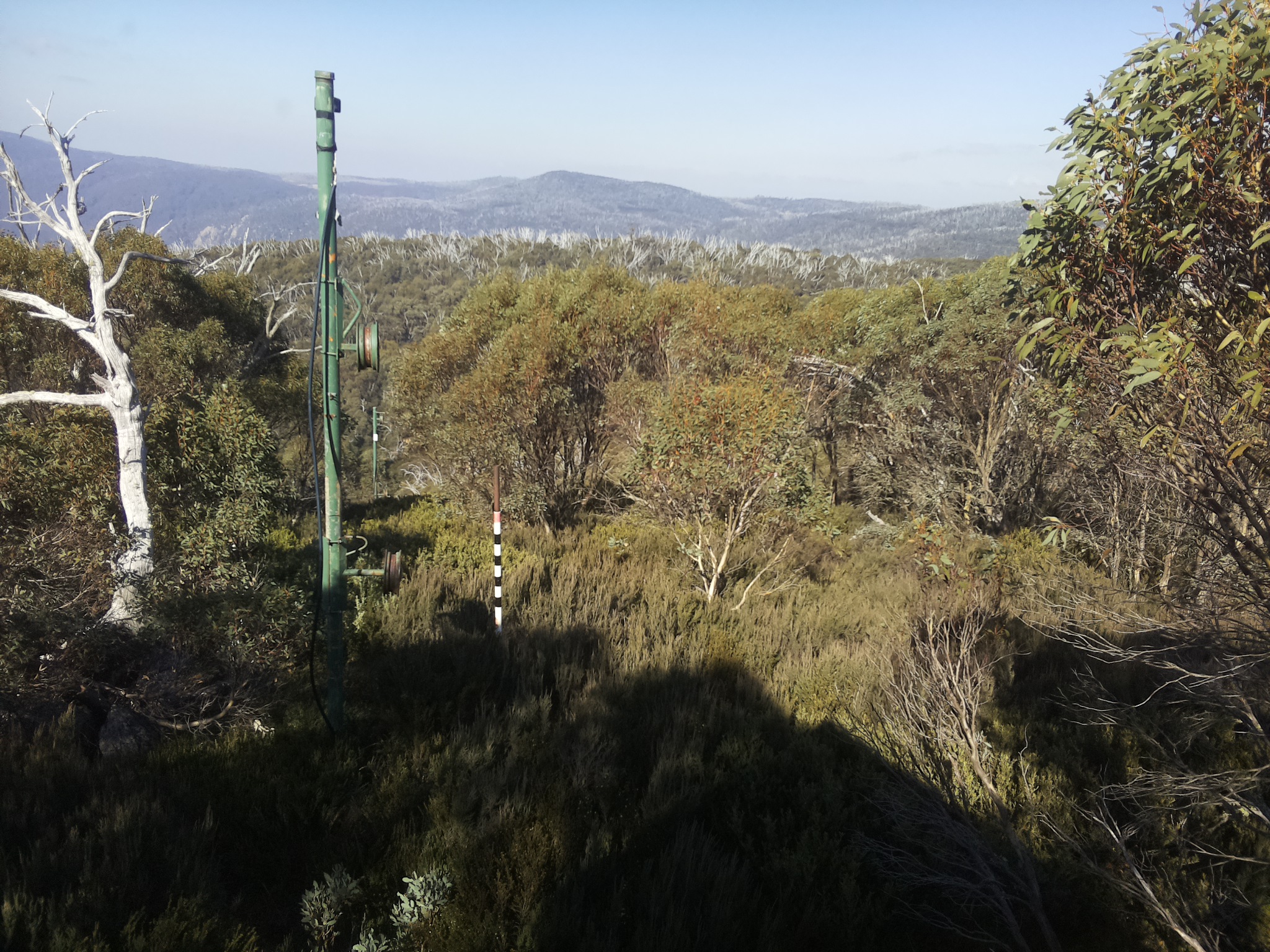 Bogong Web Cam 12:20pm Thursday 15th of May 2025