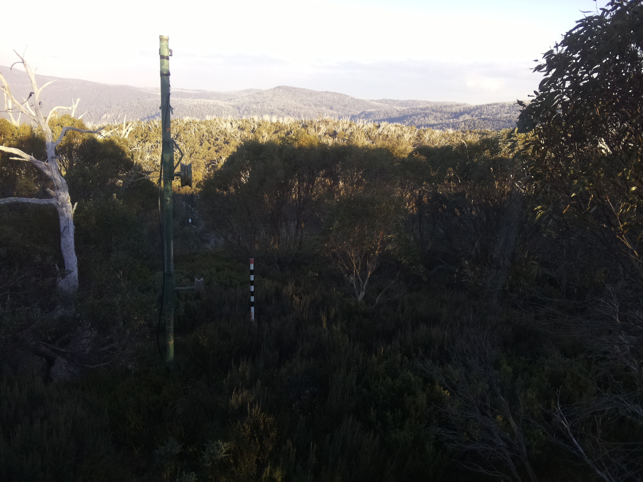 Bogong Web Cam 4:10pm Thursday 15th of May 2025