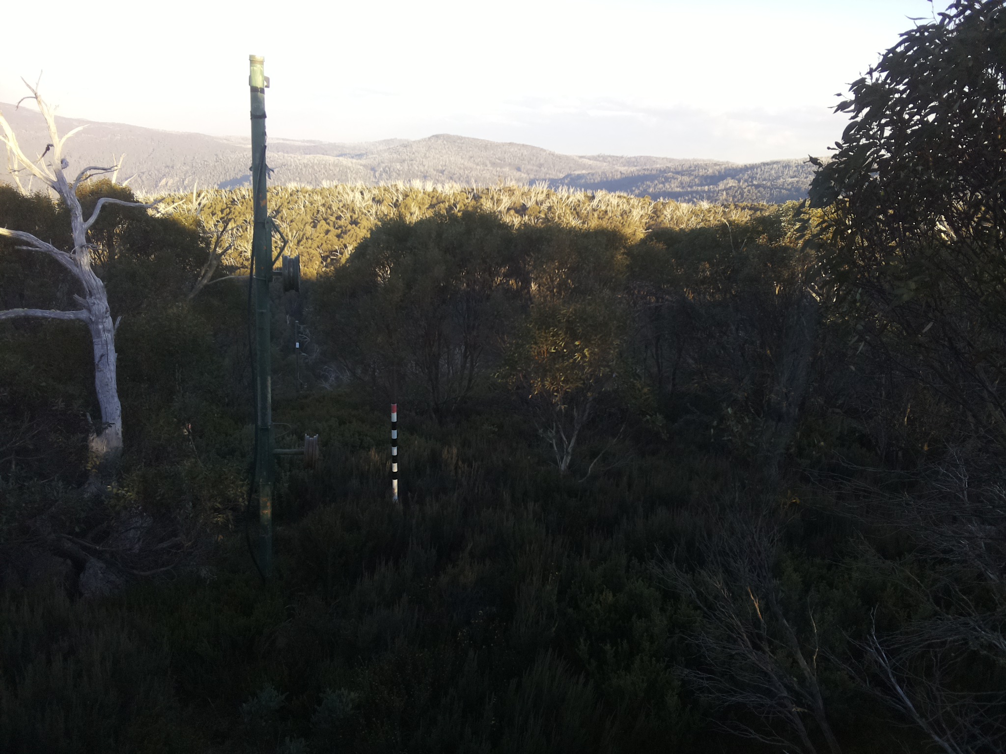 Bogong Web Cam 4:20pm Thursday 15th of May 2025