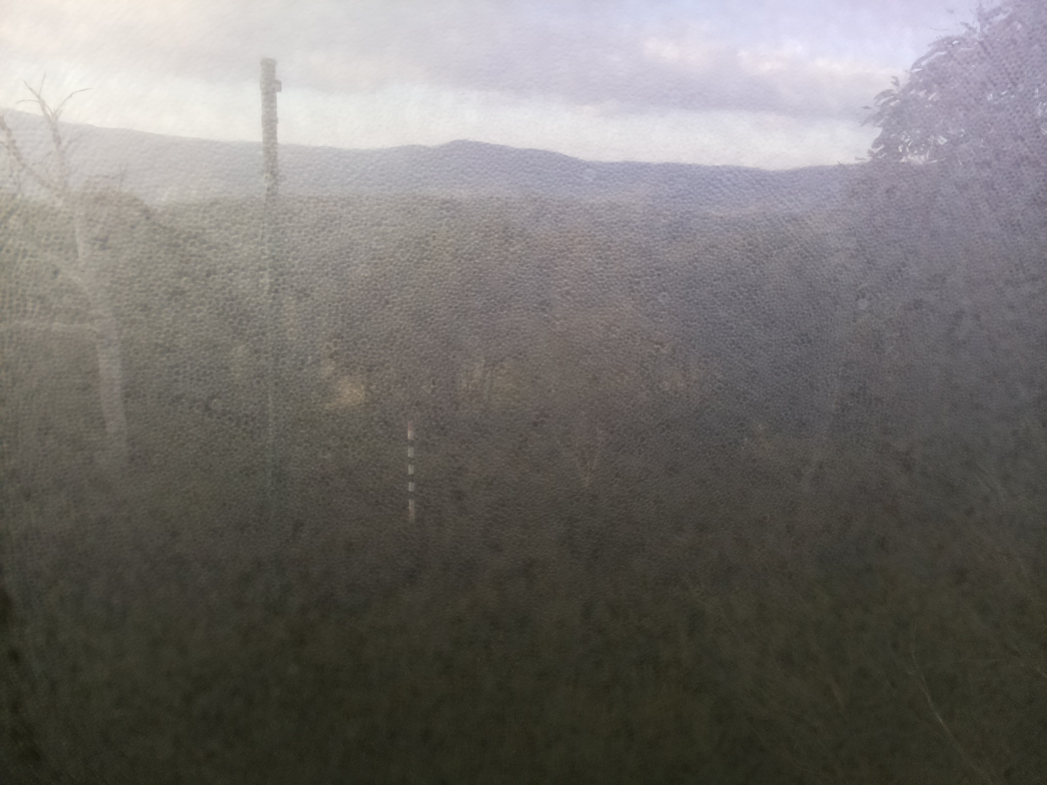 Bogong Web Cam 8:10am Friday 16th of May 2025