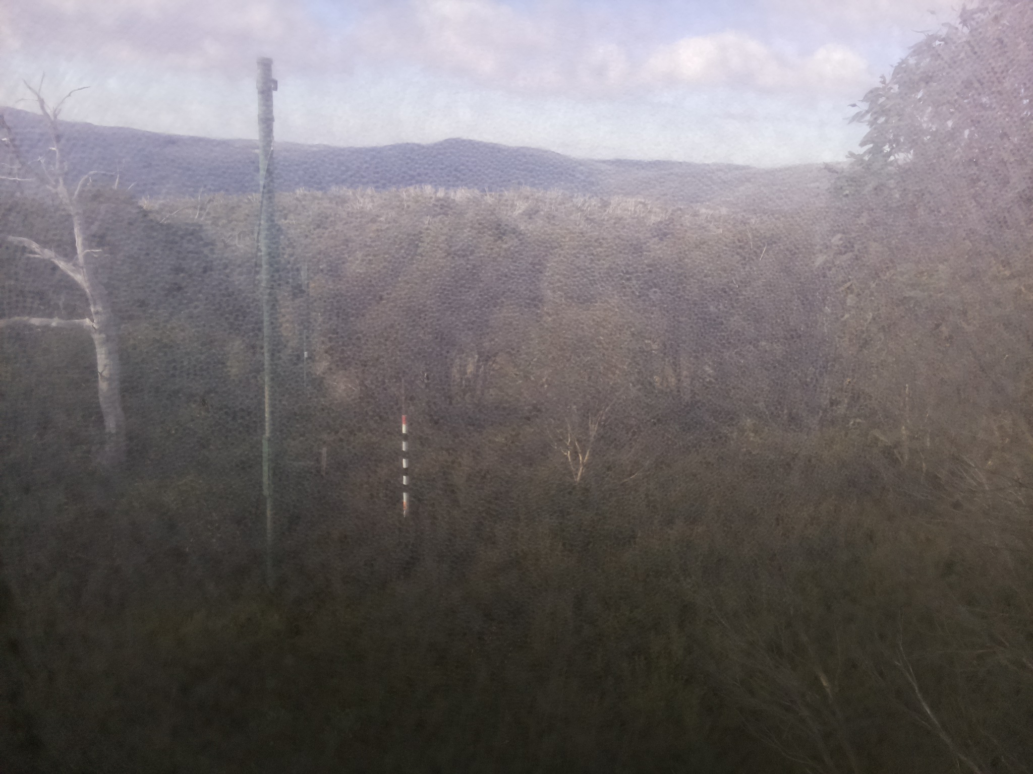 Bogong Web Cam 9:20am Friday 16th of May 2025