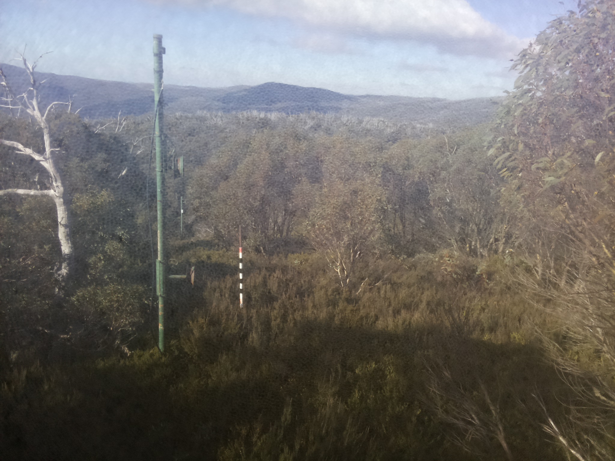 Bogong Web Cam 10:20am Friday 16th of May 2025