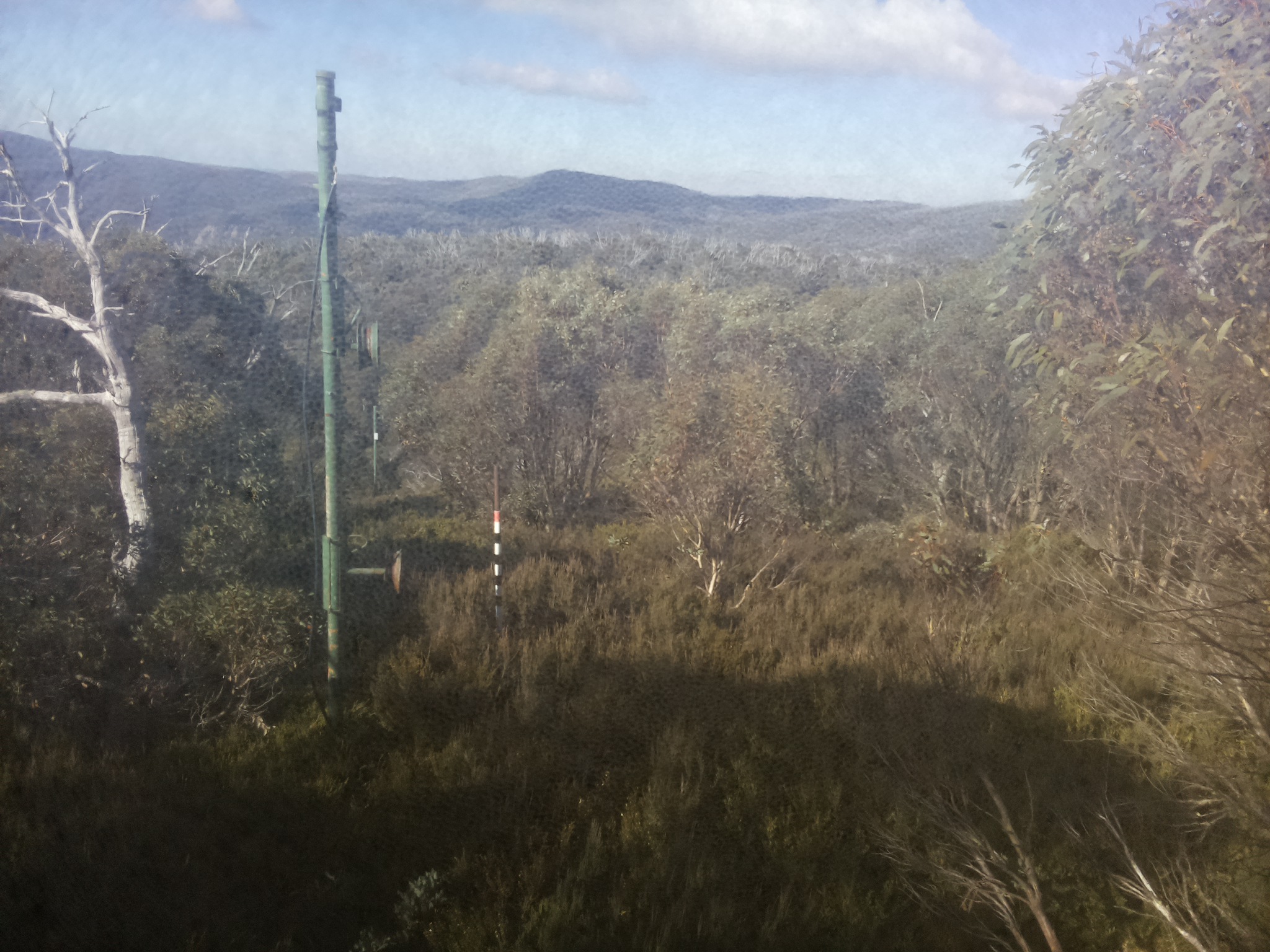 Bogong Web Cam 10:30am Friday 16th of May 2025