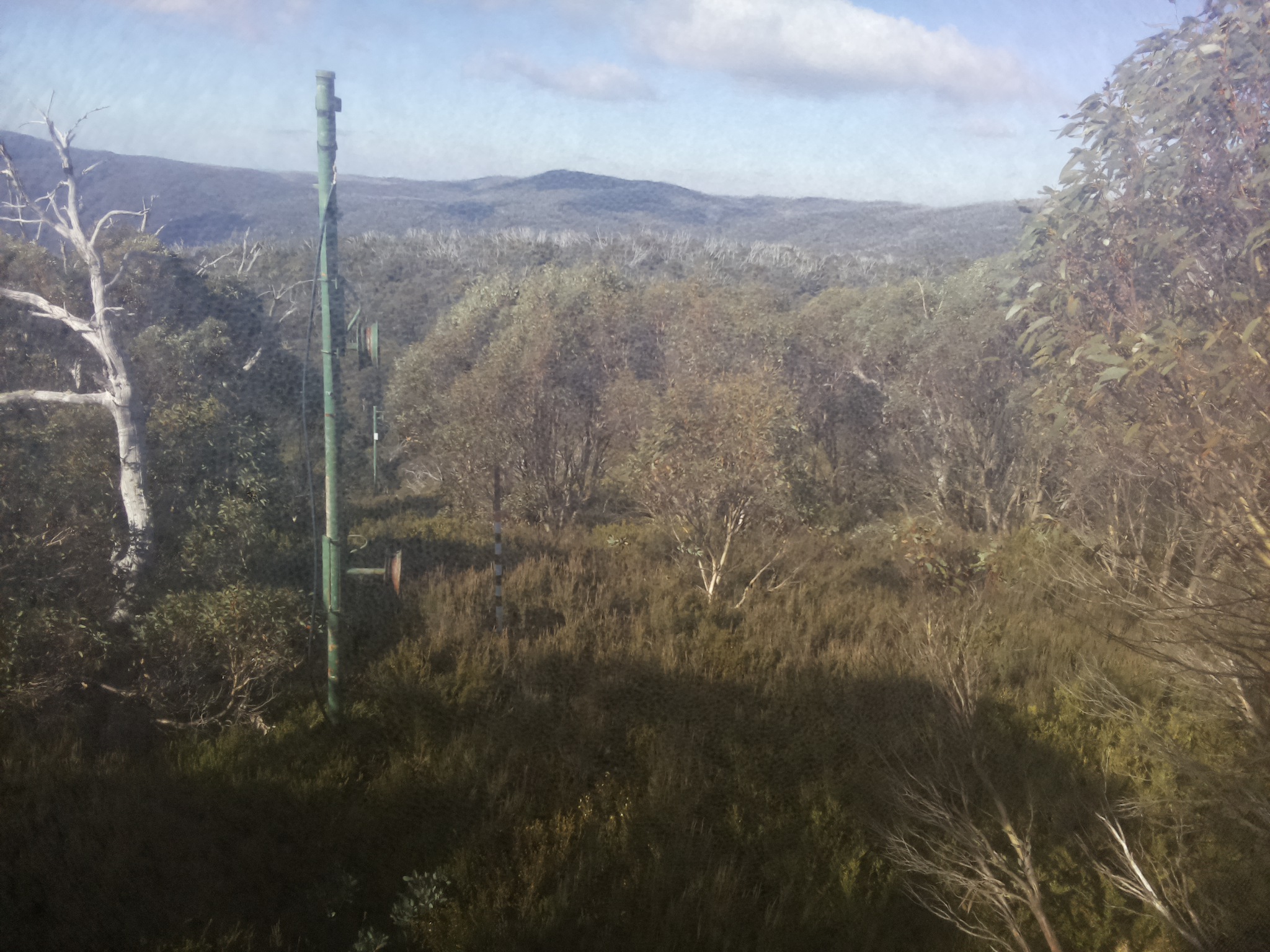 Bogong Web Cam 10:40am Friday 16th of May 2025